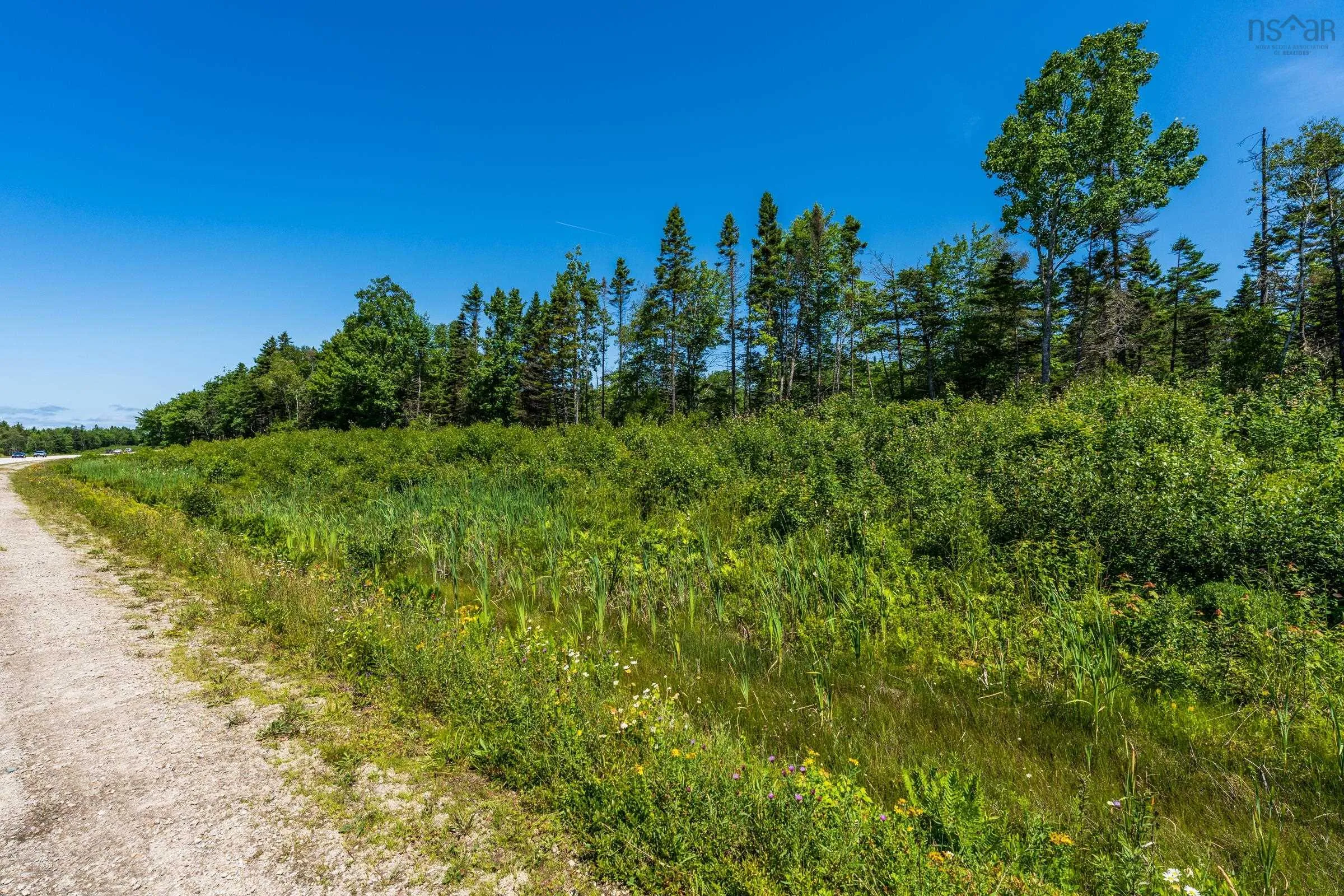 North Burke Road, Yarmouth, NS B0W 3M0, ,Land,For Sale,North Burke,202518053