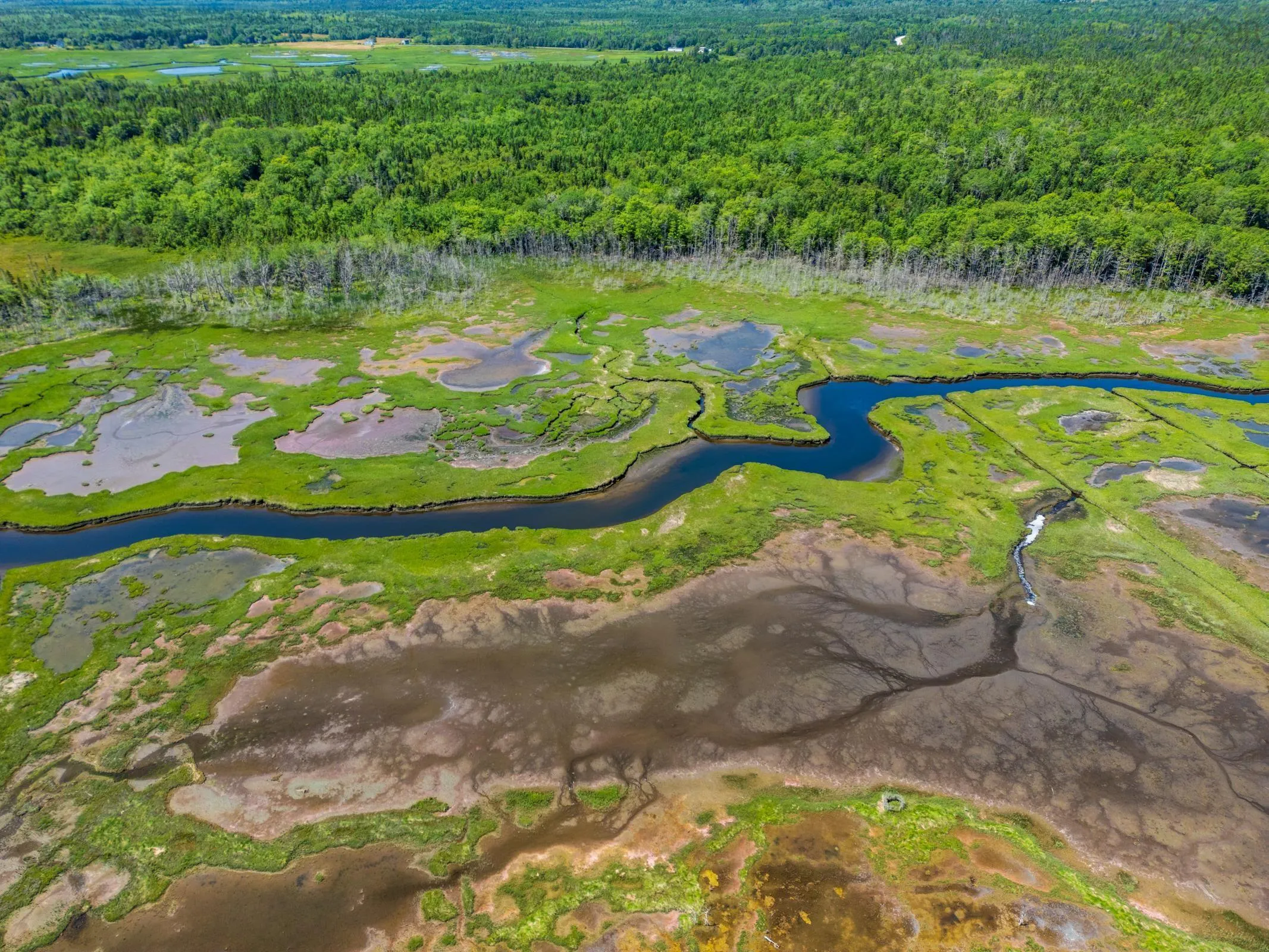 North Burke Road, Yarmouth, NS B0W 3M0, ,Land,For Sale,North Burke,202518053