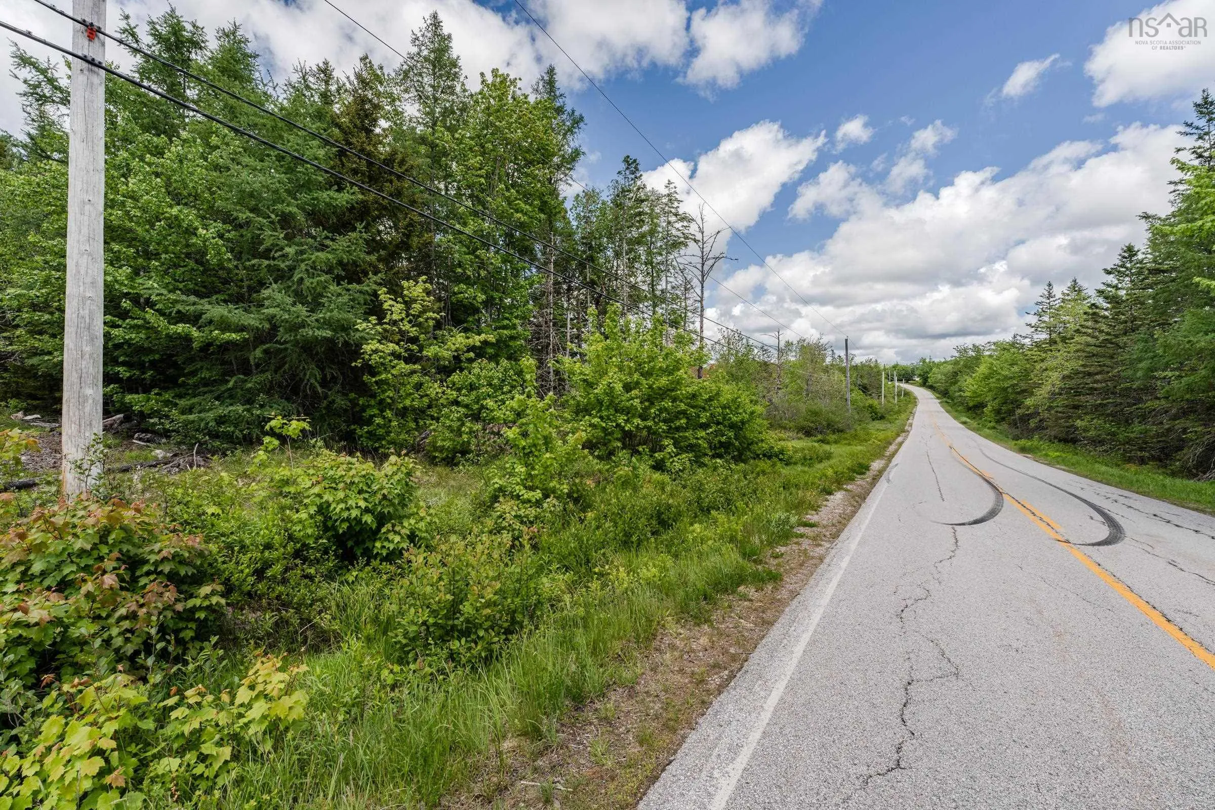 2925 Highway 203, East Kemptville, NS B5A 5P5, ,Land,For Sale,Highway 203,202514276