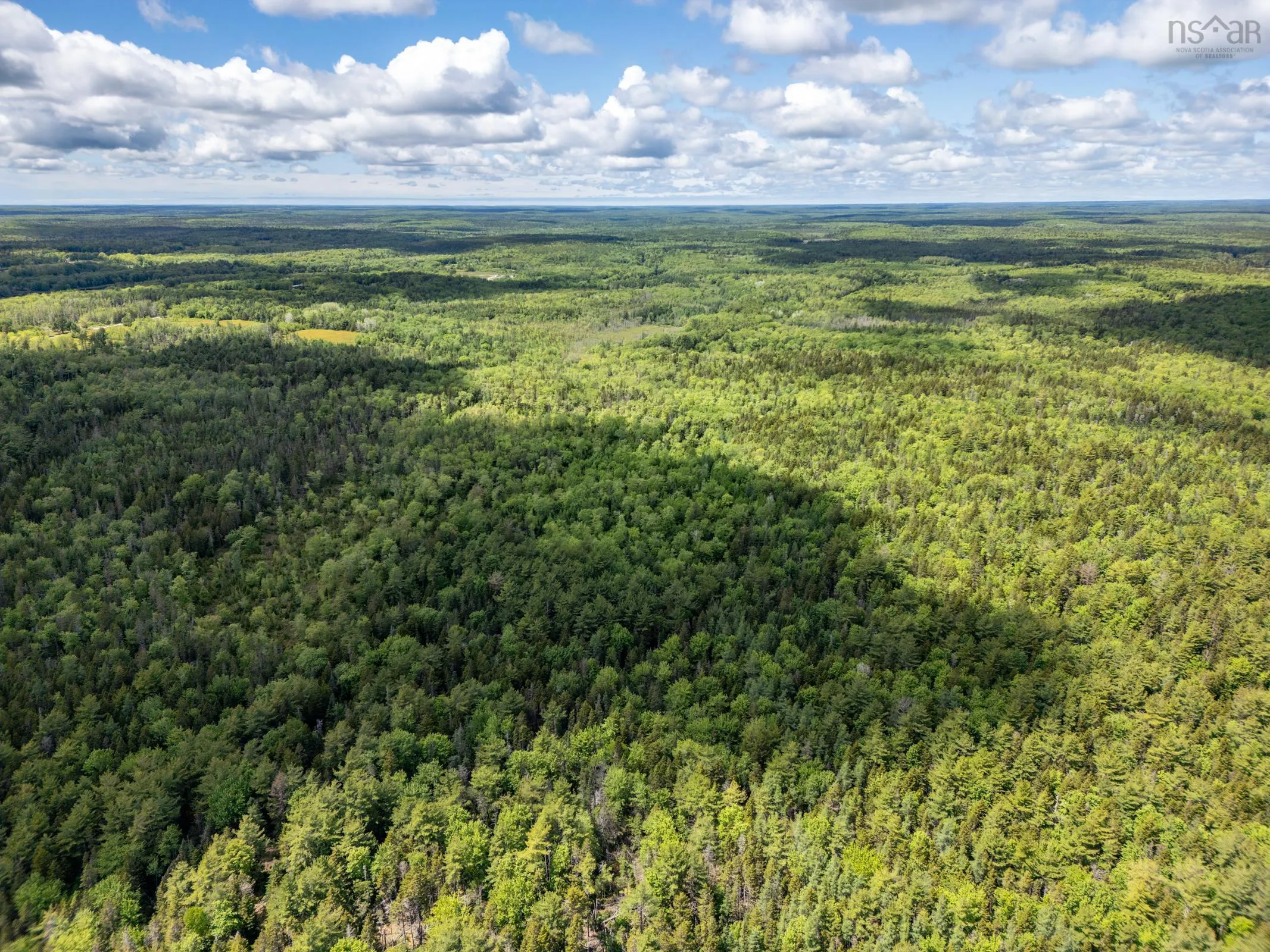 2925 Highway 203, East Kemptville, NS B5A 5P5, ,Land,For Sale,Highway 203,202514276