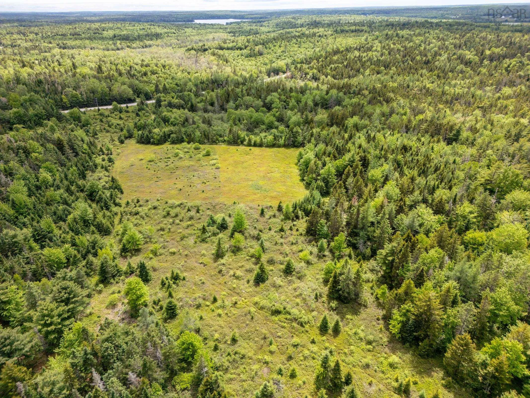 2925 Highway 203, East Kemptville, NS B5A 5P5, ,Land,For Sale,Highway 203,202514276