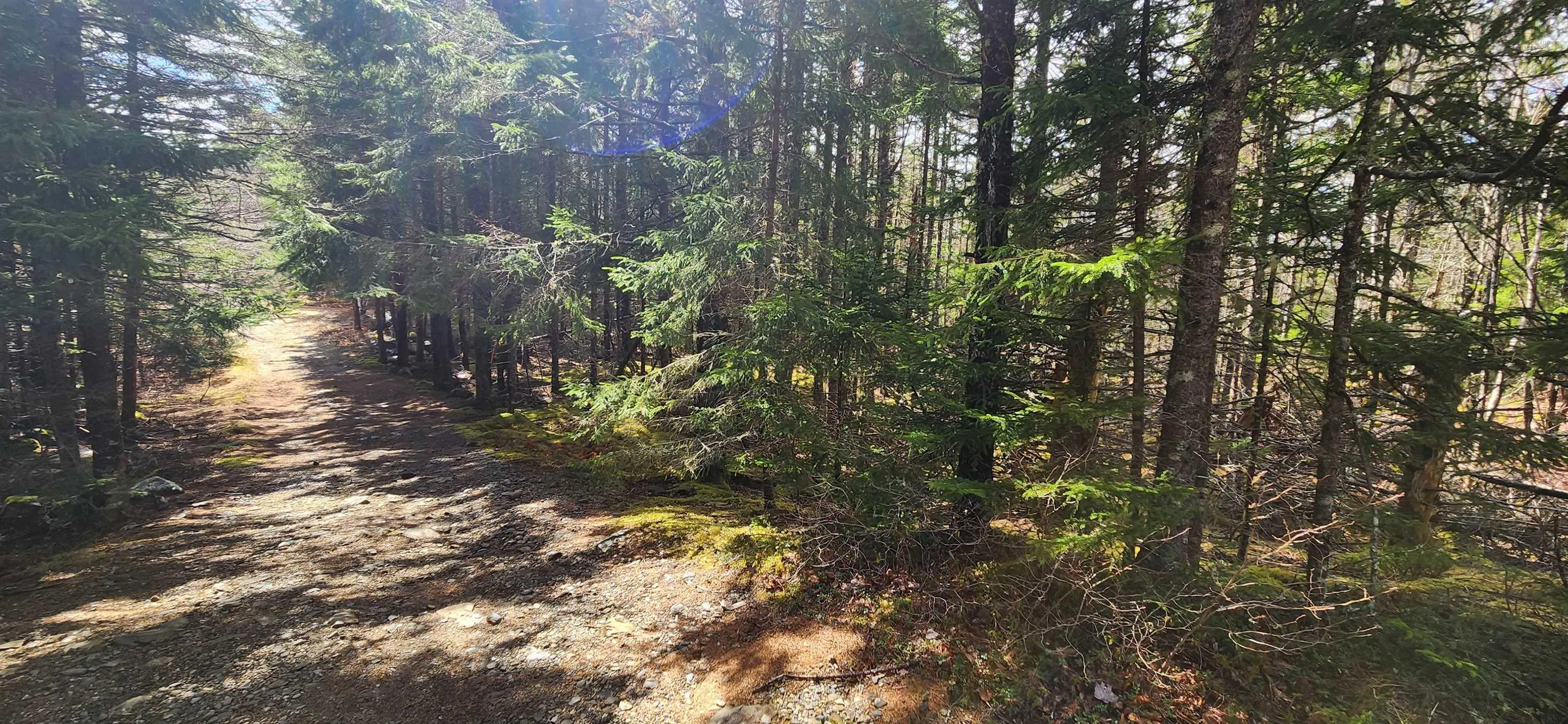 Lots Woods Road, Bayswater Ns B0j 1t0, ,Land,For Sale,Woods Road,202508647