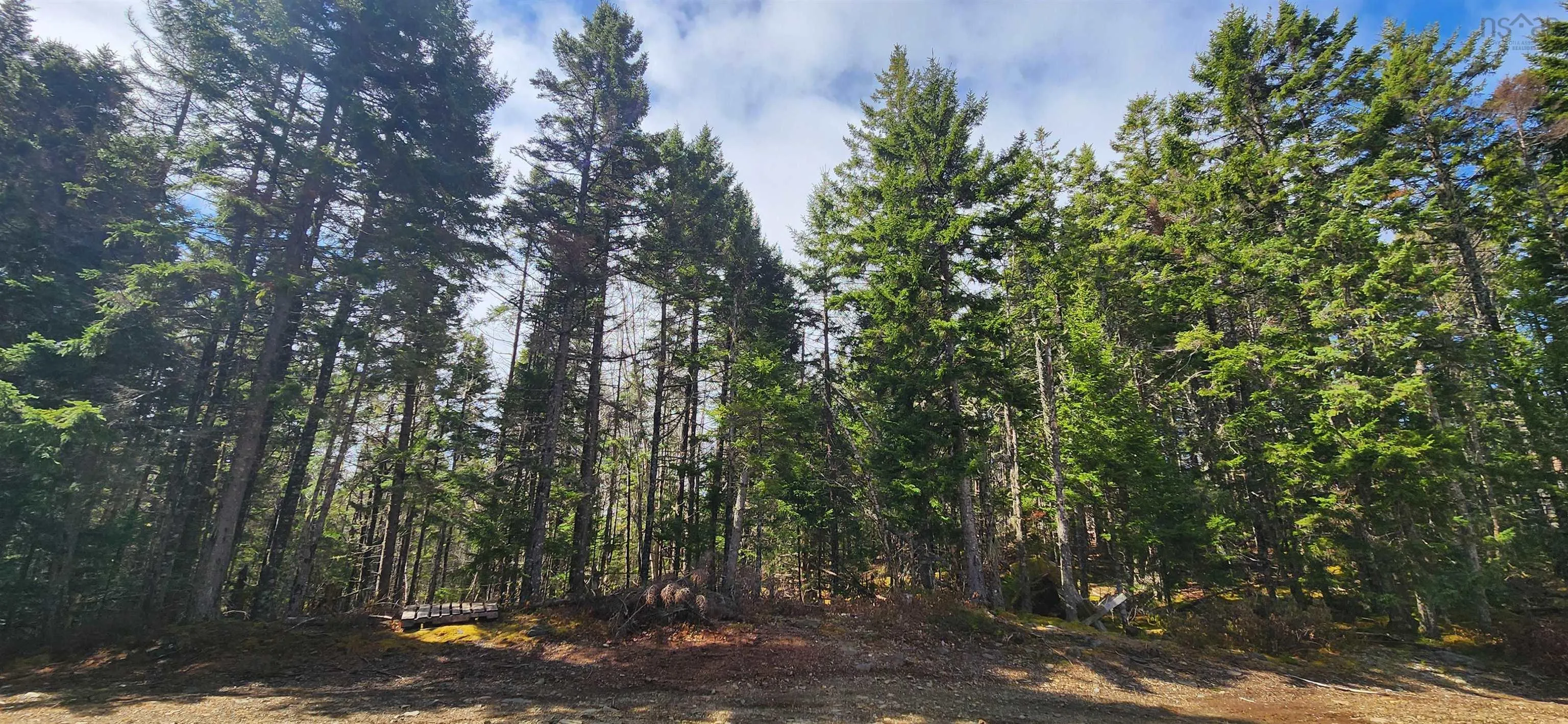 Lots Woods Road, Bayswater Ns B0j 1t0, ,Land,For Sale,Woods Road,202508647