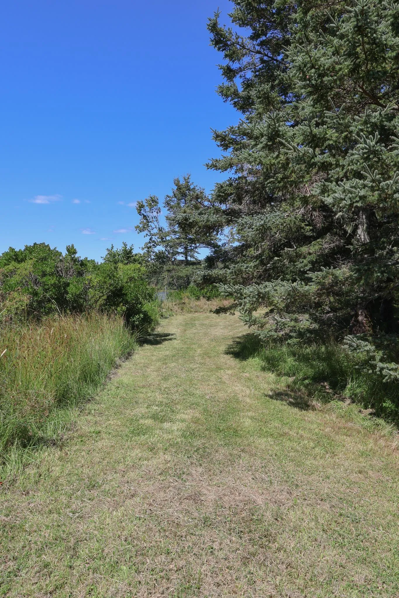 274 Masons Beach Road, Masons Beach, NS B0J 2C0, 2 Bedrooms Bedrooms, ,2 BathroomsBathrooms,Residential,For Sale,Masons Beach,202522099