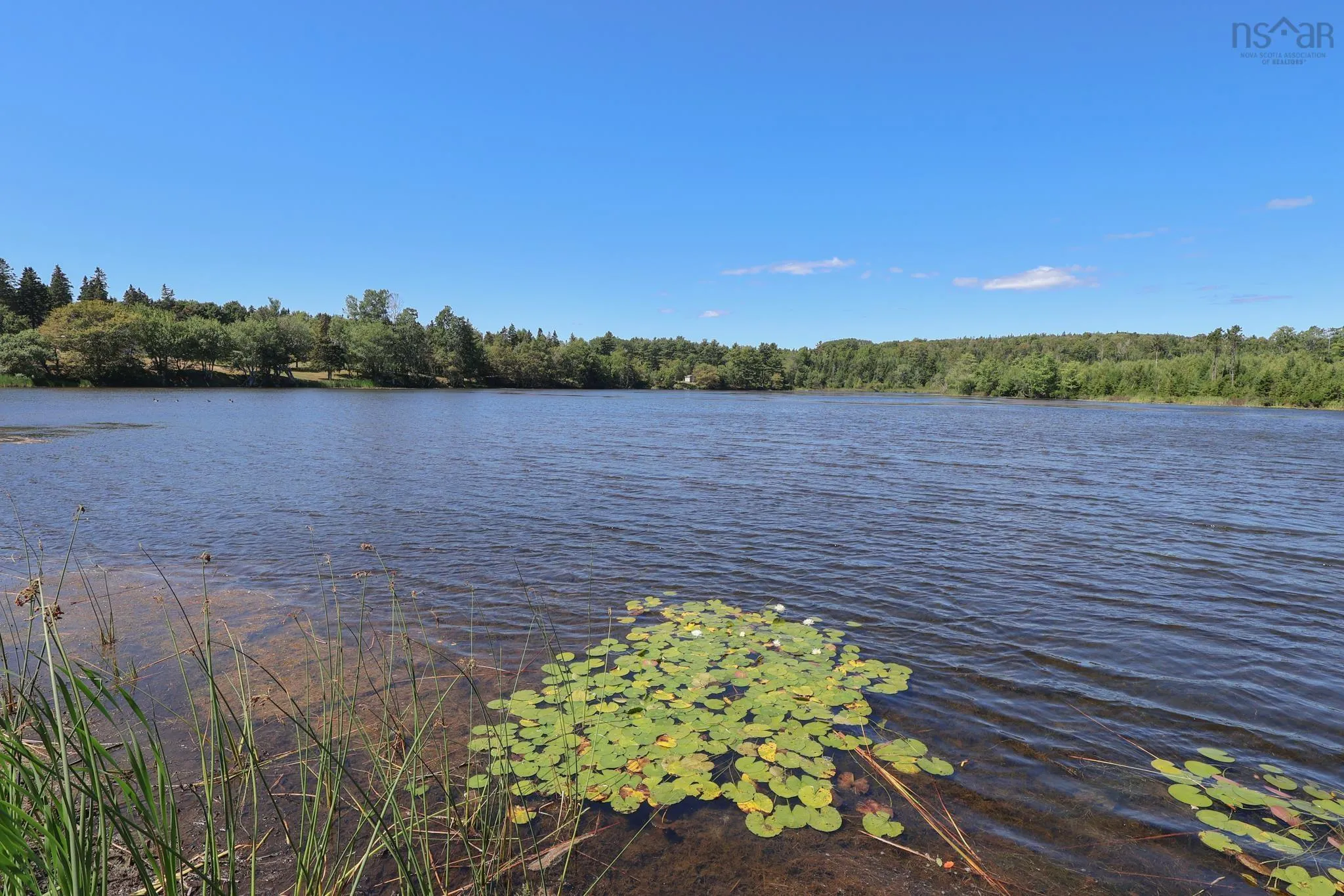 274 Masons Beach Road, Masons Beach, NS B0J 2C0, 2 Bedrooms Bedrooms, ,2 BathroomsBathrooms,Residential,For Sale,Masons Beach,202522099