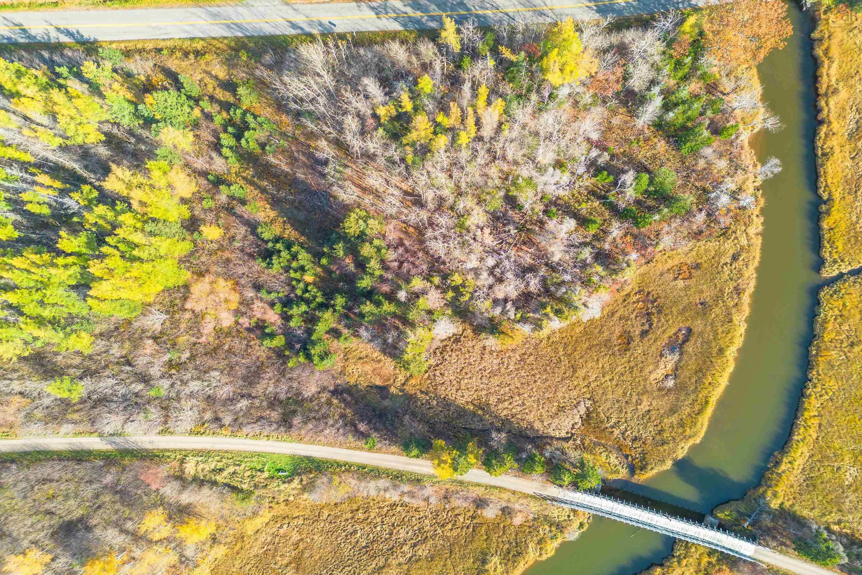 Shore Road, Judique North Ns B0e 1p0, ,Land,For Sale,Shore,202426919