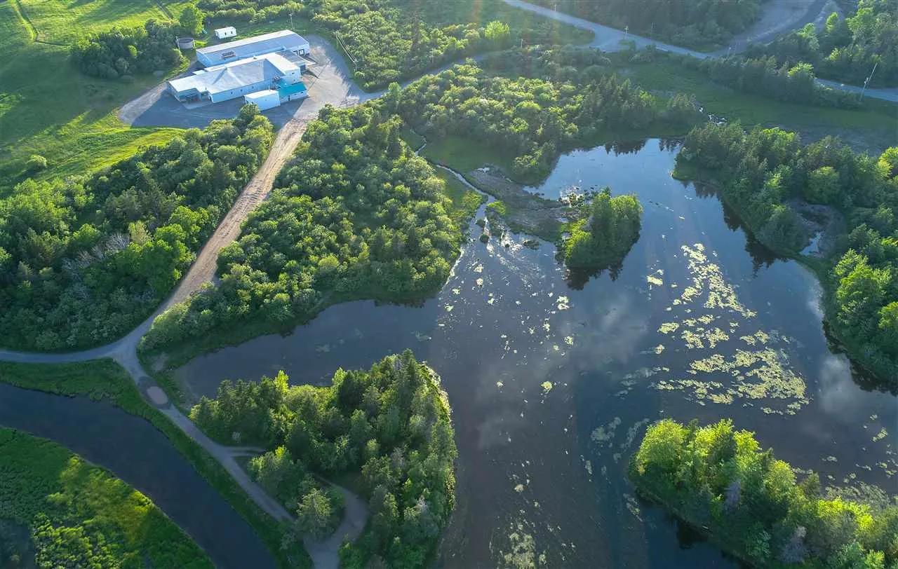 Lot 3 Landing Cove, Antigonish Landing Ns B2g 2l2, ,Land,For Sale,Landing Cove,201922736