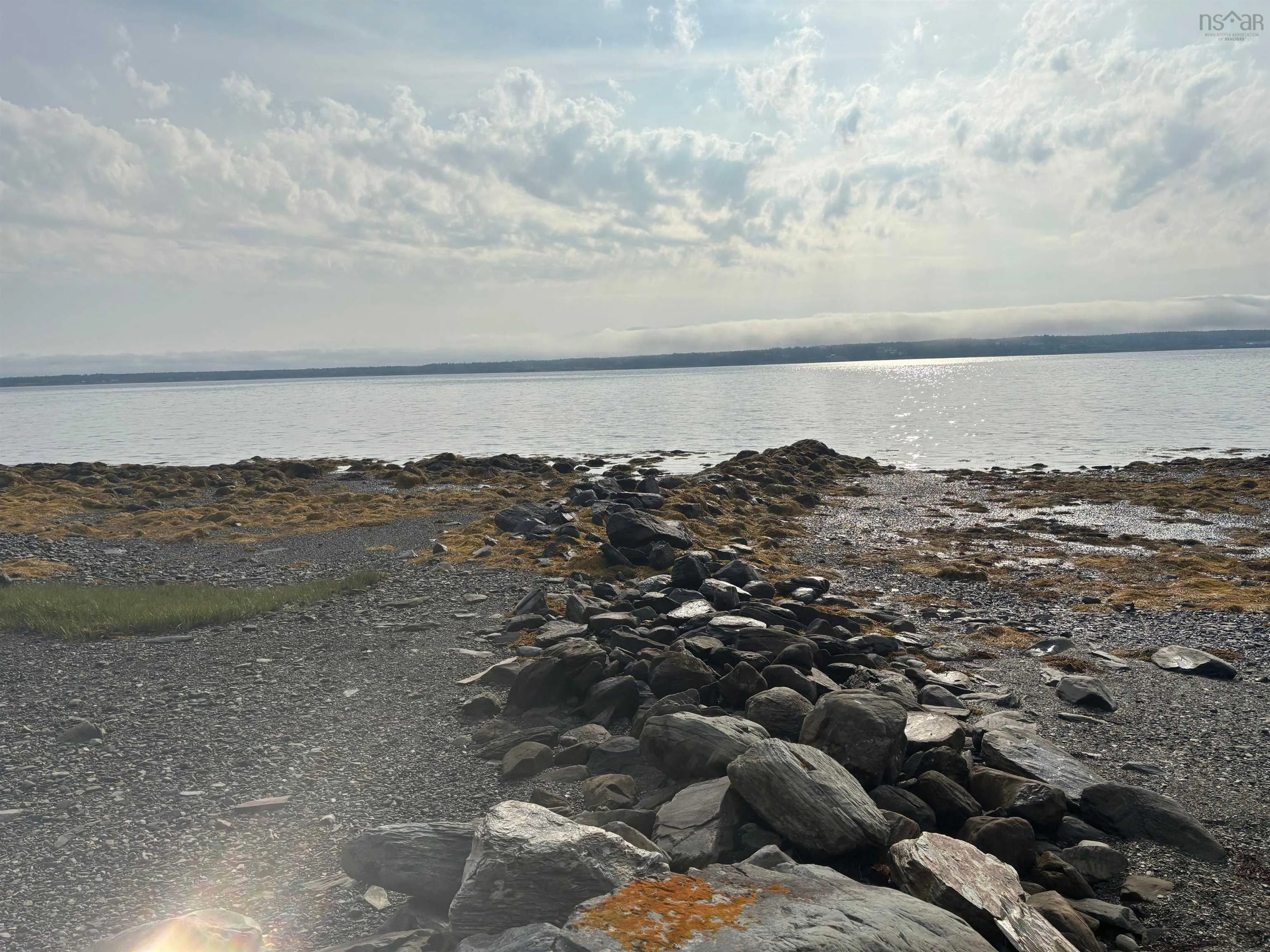 335 Highway, Middle West Pubnico, NS B0W 3S0, ,Land,For Sale,335,202520602