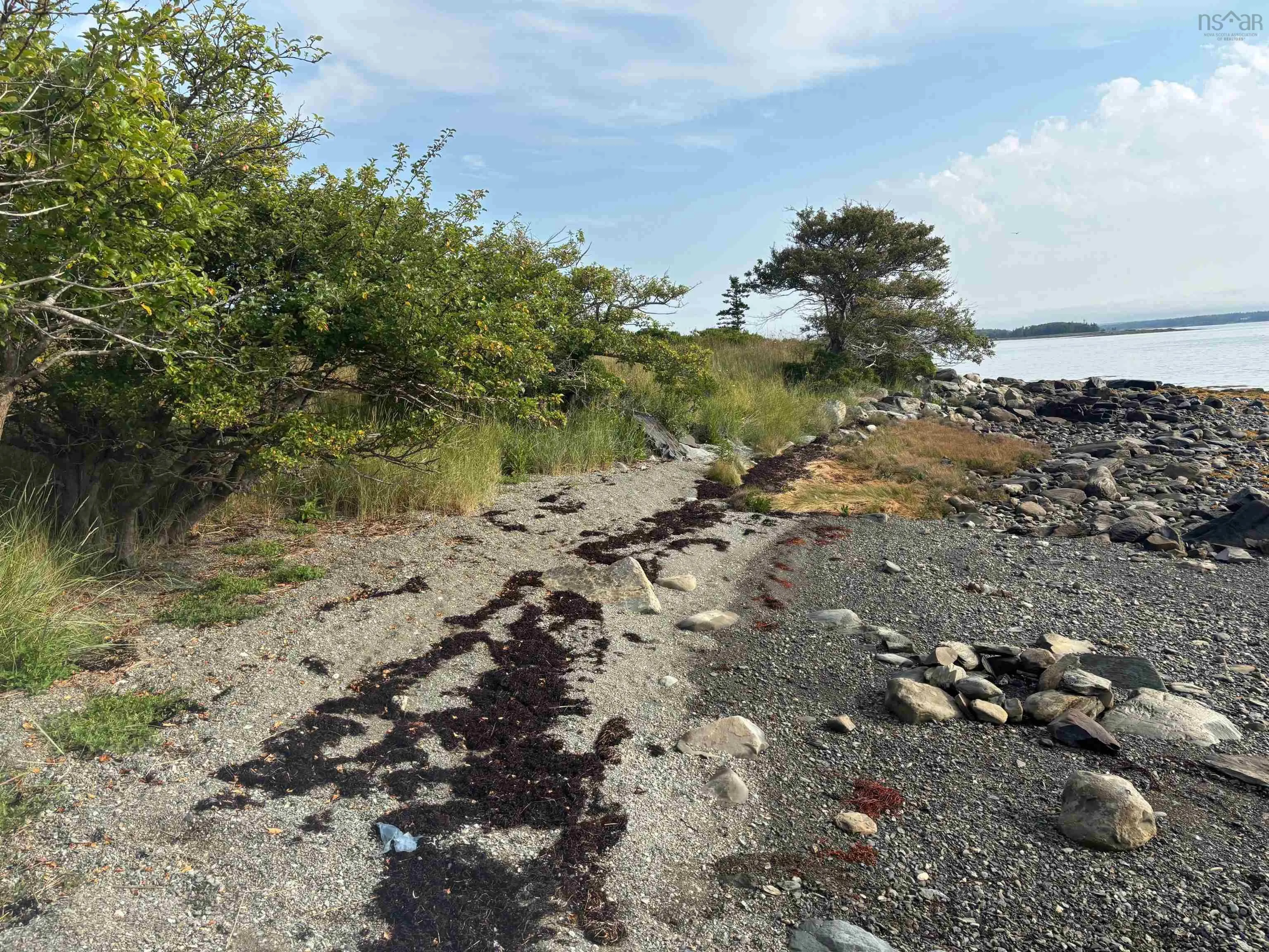 335 Highway, Middle West Pubnico, NS B0W 3S0, ,Land,For Sale,335,202520602