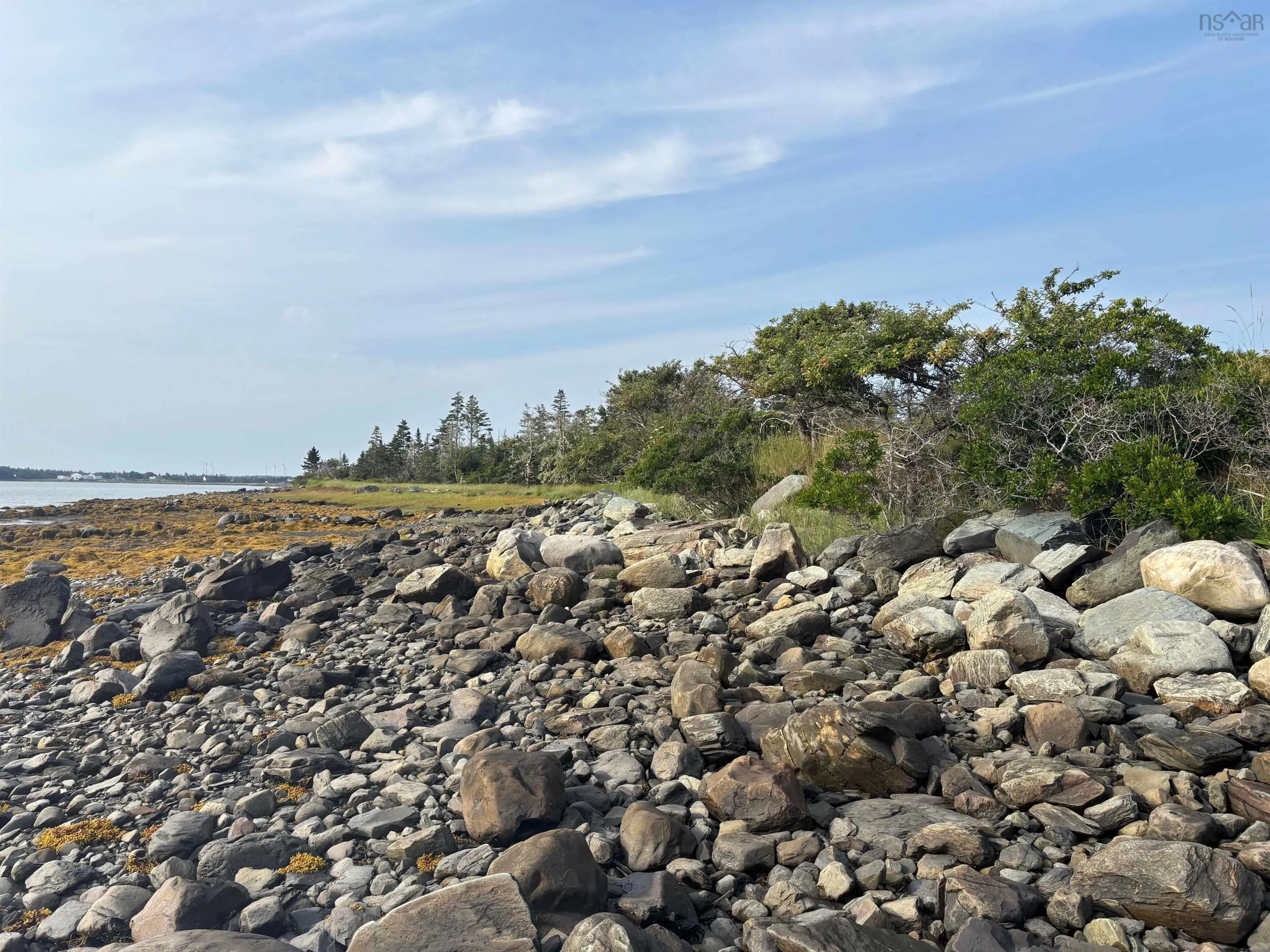 335 Highway, Middle West Pubnico, NS B0W 3S0, ,Land,For Sale,335,202520602