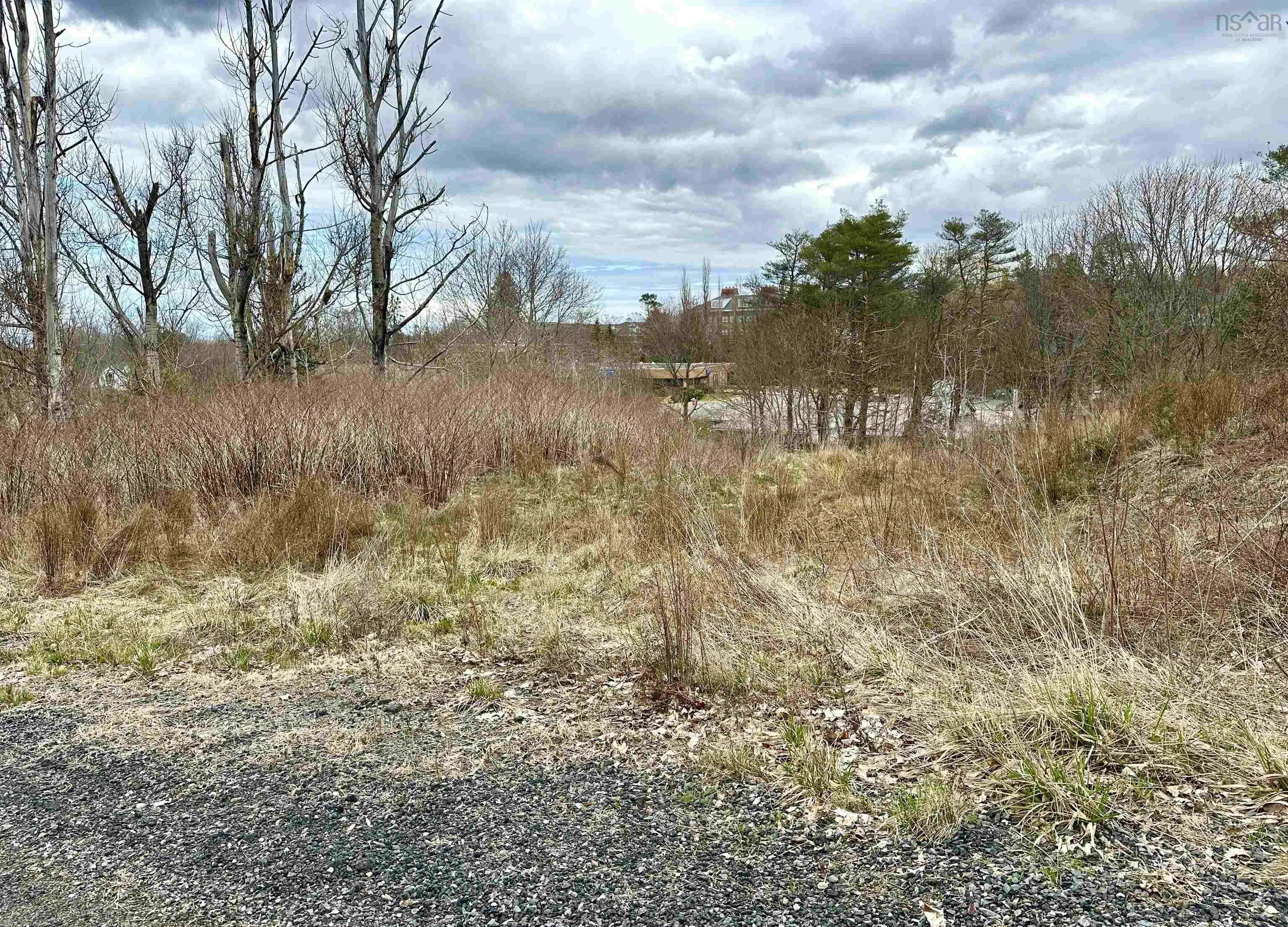 71 Wickwire Avenue, Wolfville Ns B4p 1w3, ,Land,For Sale,Wickwire,202508600