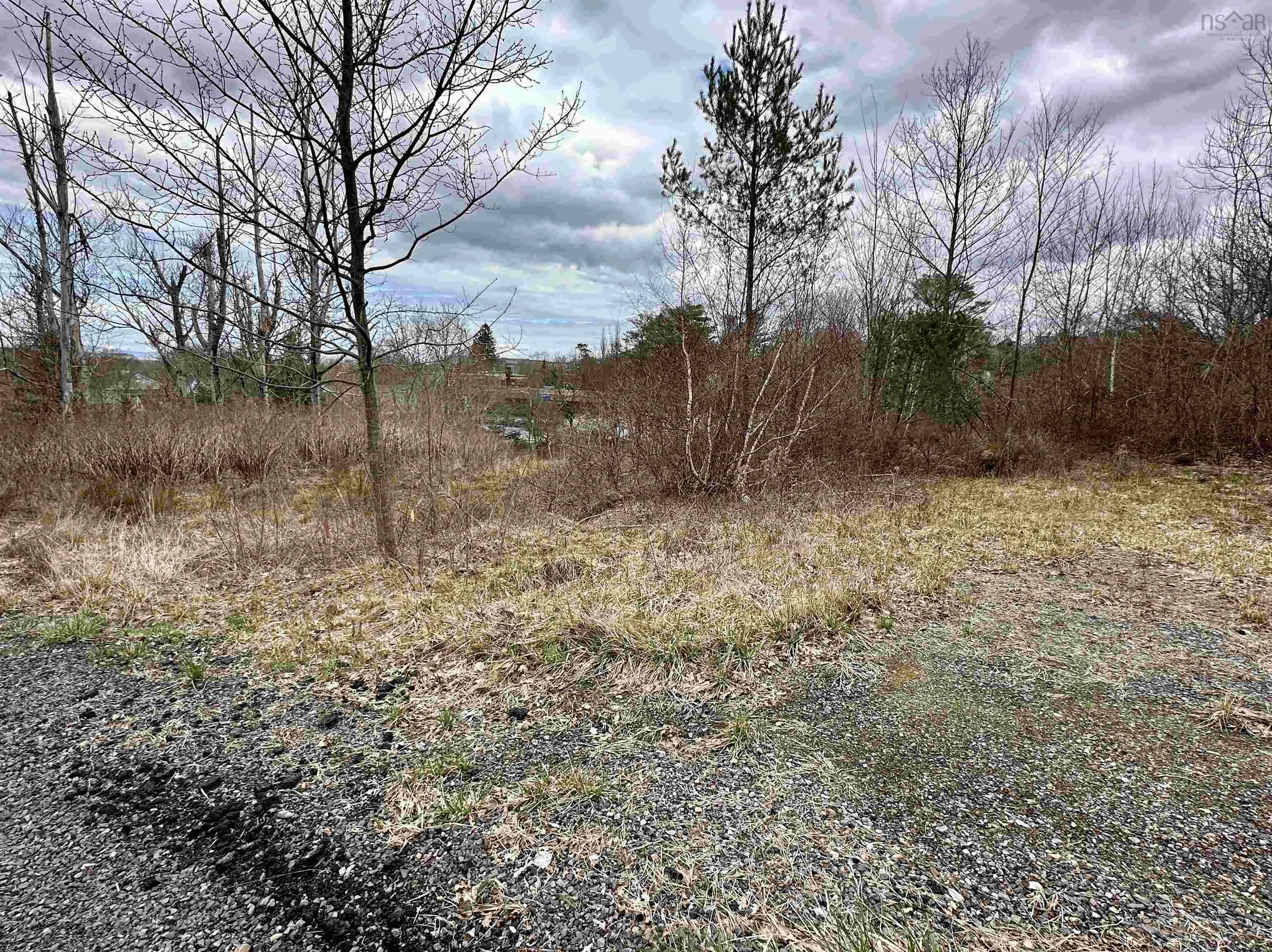 71 Wickwire Avenue, Wolfville Ns B4p 1w3, ,Land,For Sale,Wickwire,202508600