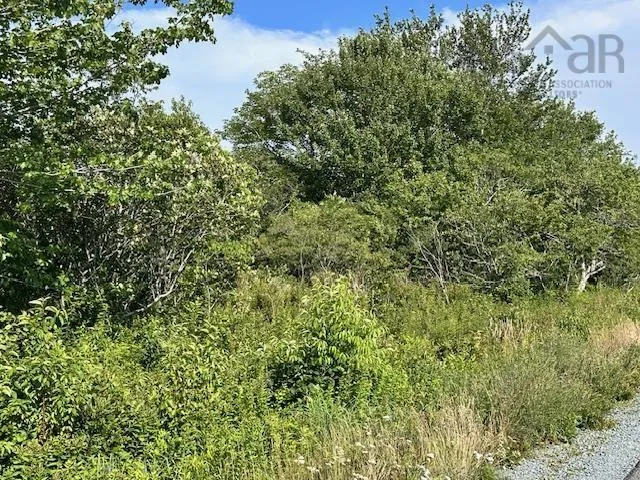 Shore Road Lot 5, Western Head, NS B0T 1K0, ,Land,For Sale,Shore,202518031