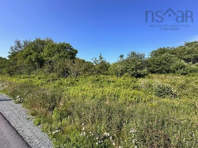 Shore Road Lot 5, Western Head, NS B0T 1K0, ,Land,For Sale,Shore,202518031