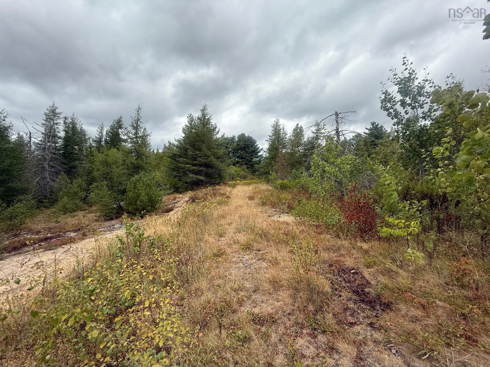 Lot 2 Ridge Road, Plympton Station, NS B0W 2R0, ,Land,For Sale,Ridge,202522004