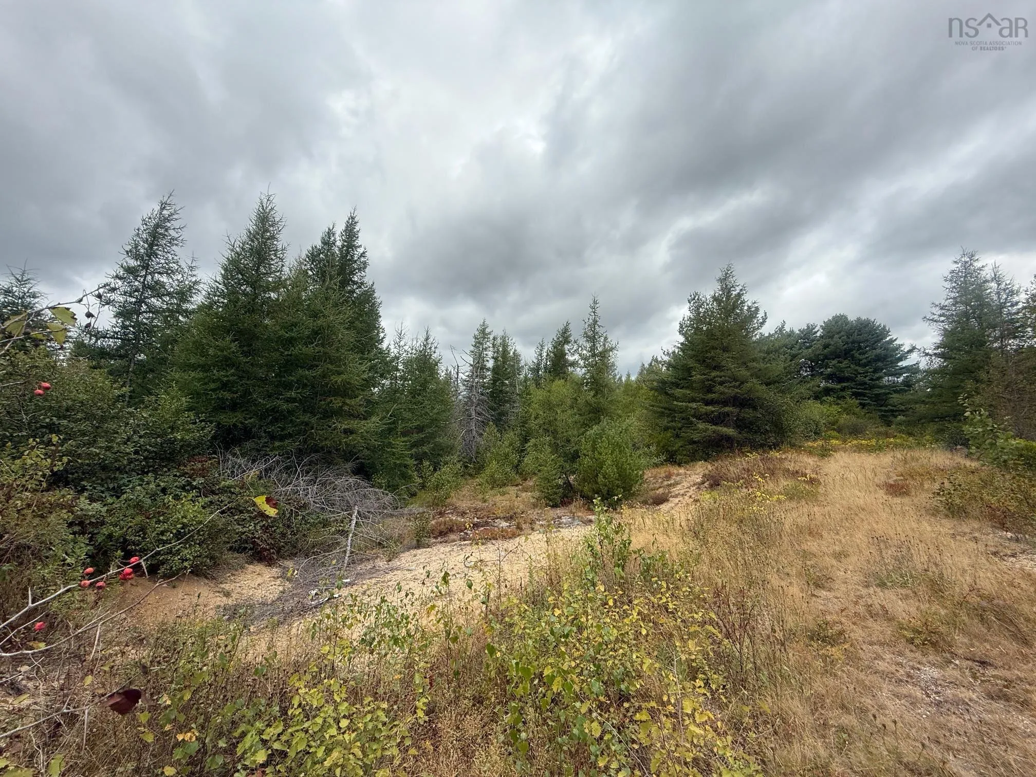 Lot 2 Ridge Road, Plympton Station, NS B0W 2R0, ,Land,For Sale,Ridge,202522004