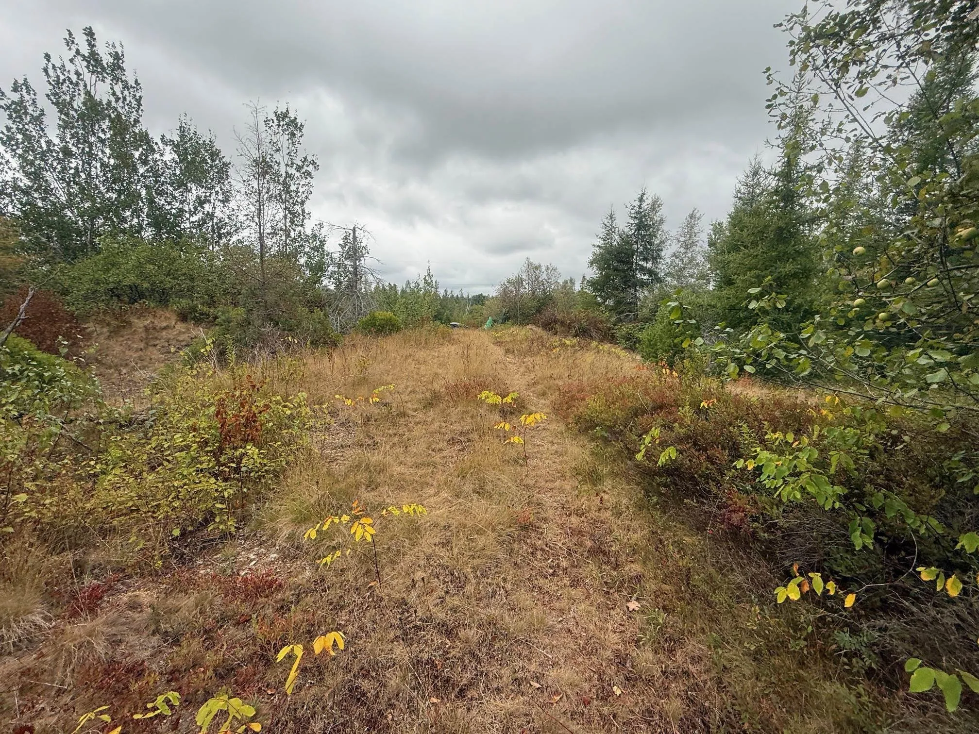 Lot 2 Ridge Road, Plympton Station, NS B0W 2R0, ,Land,For Sale,Ridge,202522004