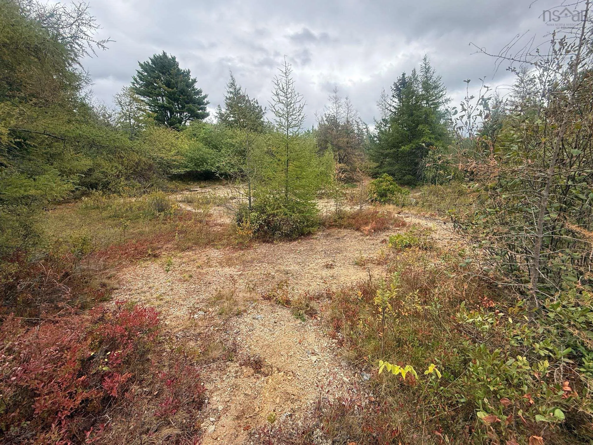 Lot 2 Ridge Road, Plympton Station, NS B0W 2R0, ,Land,For Sale,Ridge,202522004