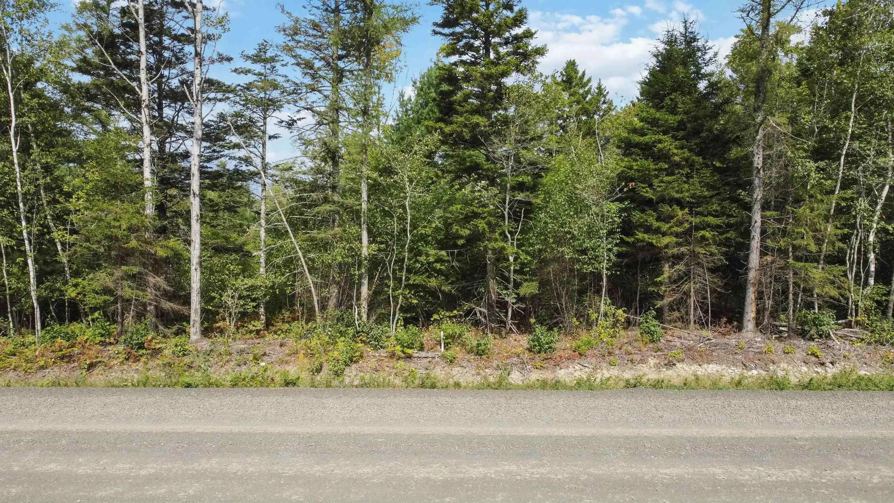 Lot 2 Ridge Road, Plympton Station, NS B0W 2R0, ,Land,For Sale,Ridge,202522004