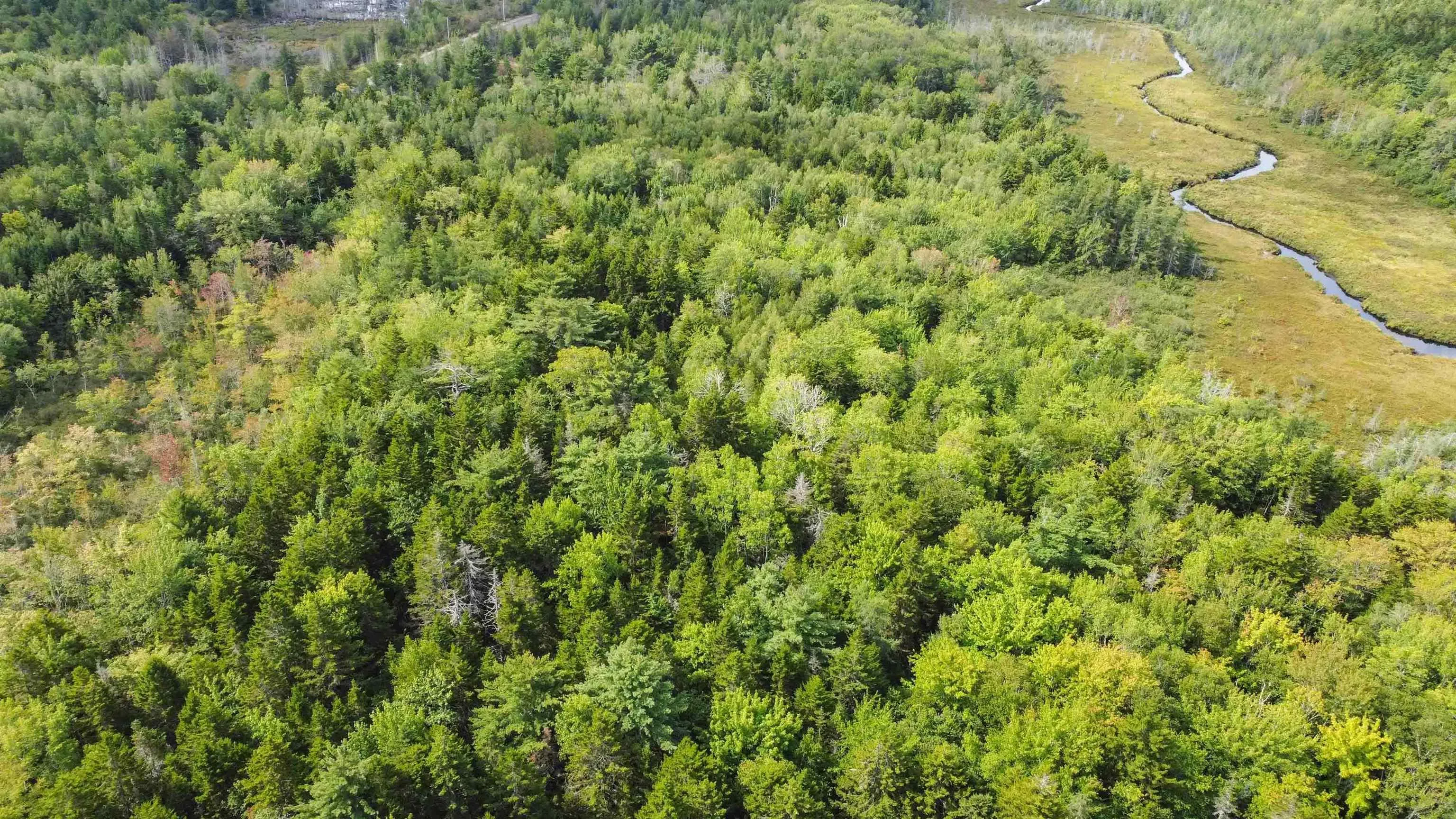 Lot 2 Ridge Road, Plympton Station, NS B0W 2R0, ,Land,For Sale,Ridge,202522004