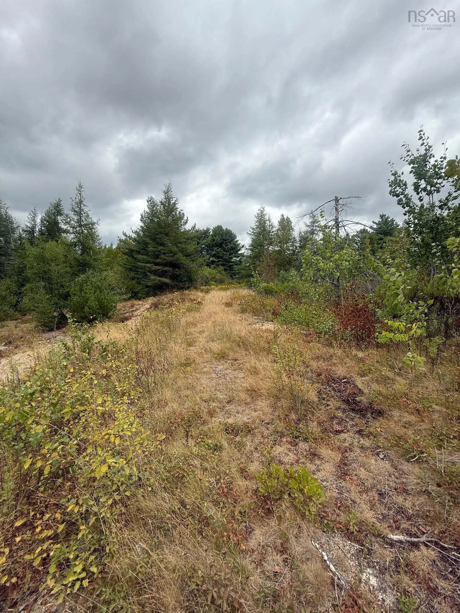 Lot 2 Ridge Road, Plympton Station, NS B0W 2R0, ,Land,For Sale,Ridge,202522004