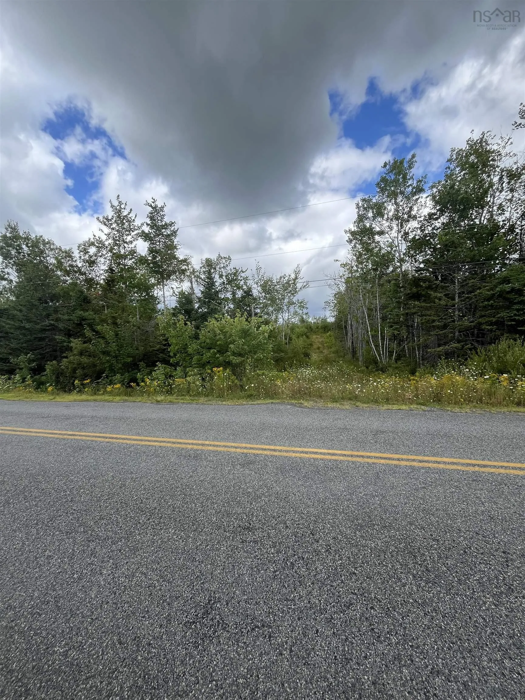 313 Mark Road, Riverton, NS B0K 1S0, ,Land,For Sale,Mark,202522477