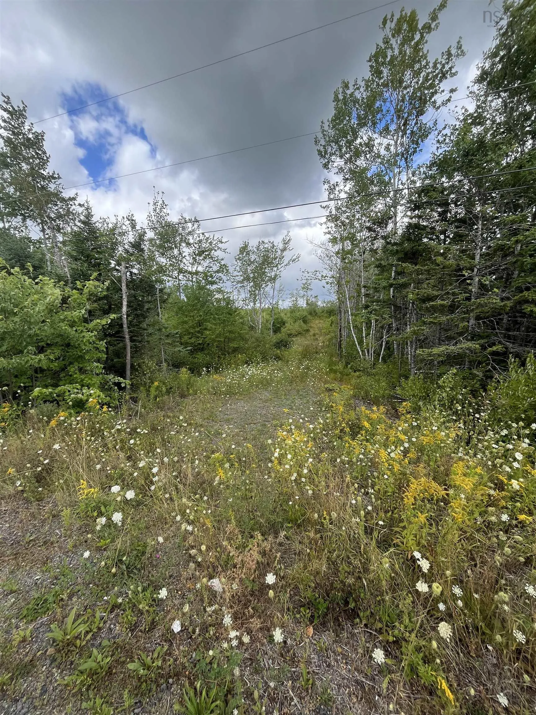 313 Mark Road, Riverton, NS B0K 1S0, ,Land,For Sale,Mark,202522477