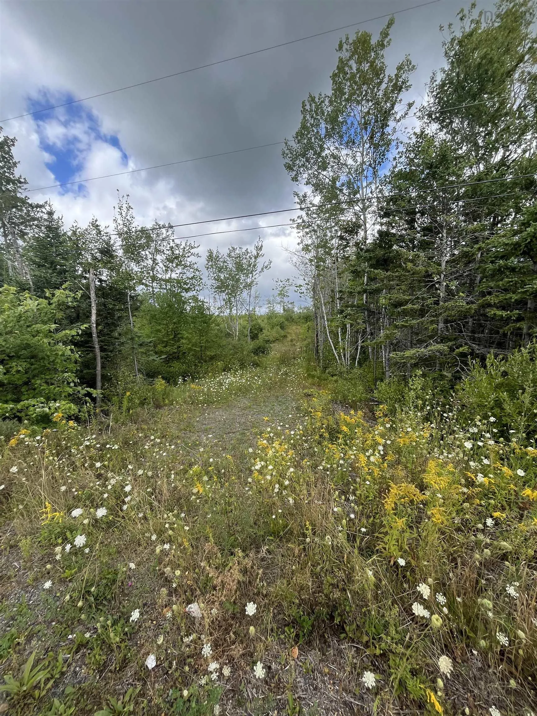 313 Mark Road, Riverton, NS B0K 1S0, ,Land,For Sale,Mark,202522477