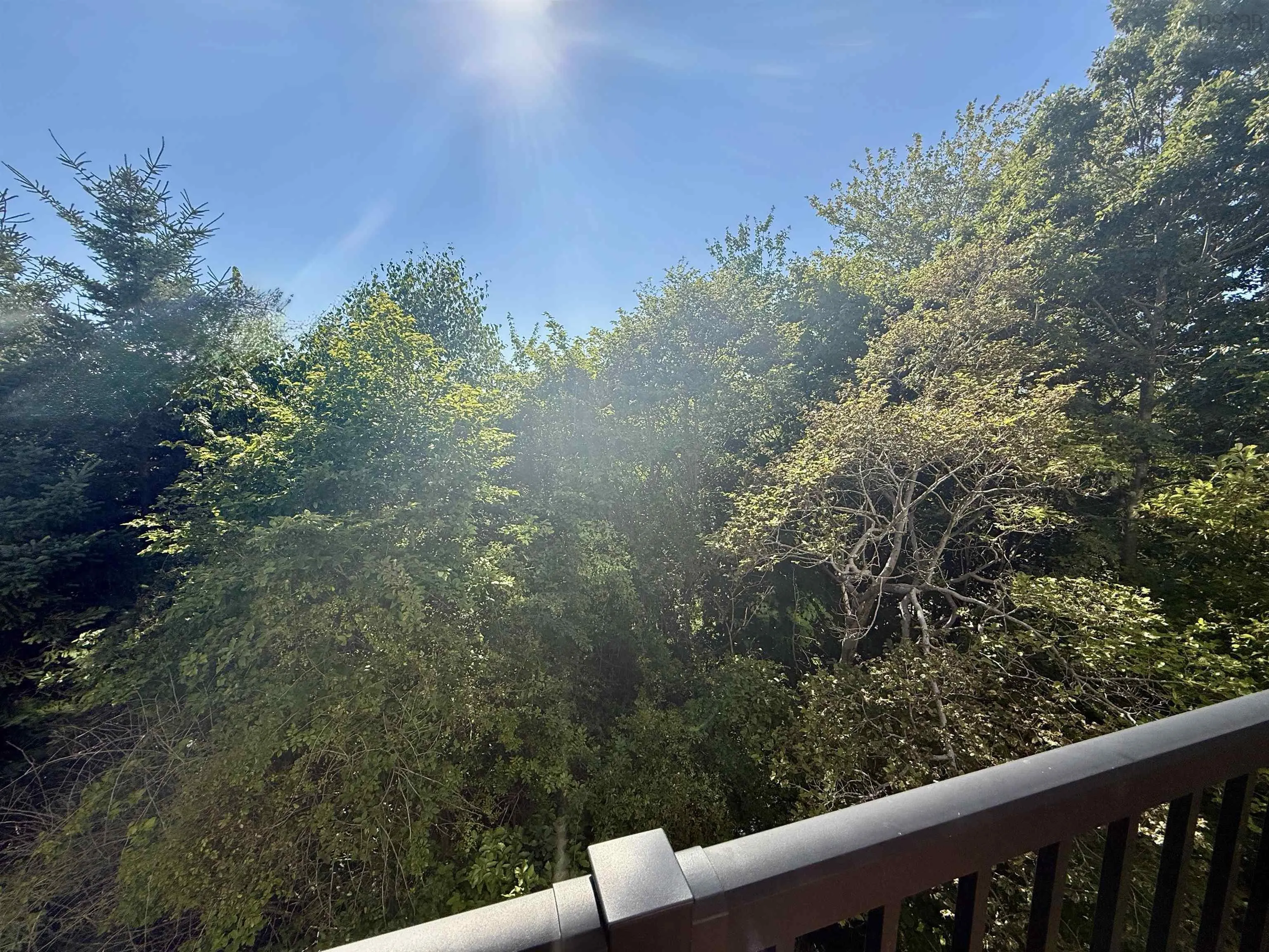 209-75 Collins Grove, Dartmouth, NS B2W 6B3, 2 Bedrooms Bedrooms, ,1 BathroomBathrooms,Residential,For Sale,Collins,202522473