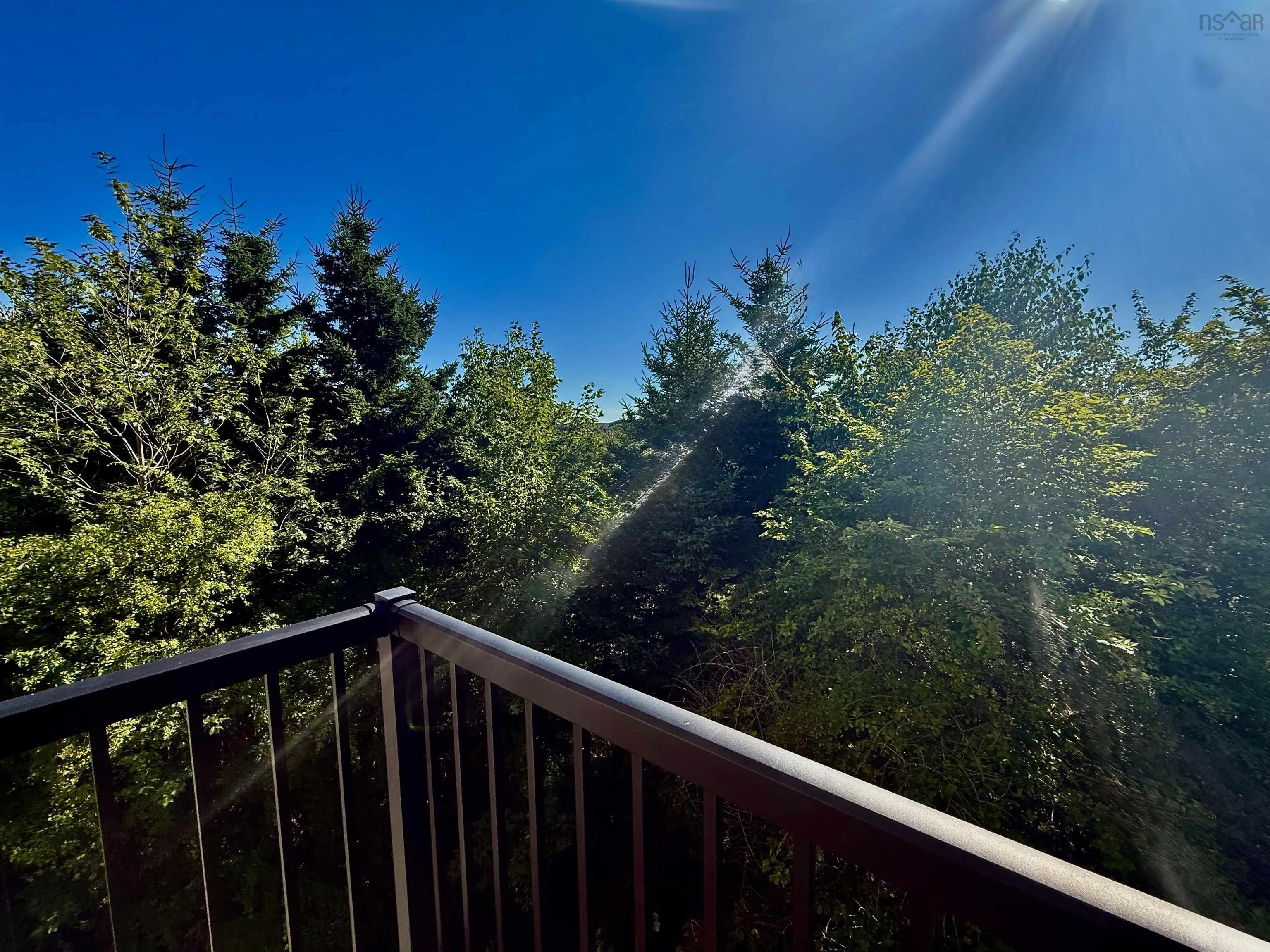 209-75 Collins Grove, Dartmouth, NS B2W 6B3, 2 Bedrooms Bedrooms, ,1 BathroomBathrooms,Residential,For Sale,Collins,202522473