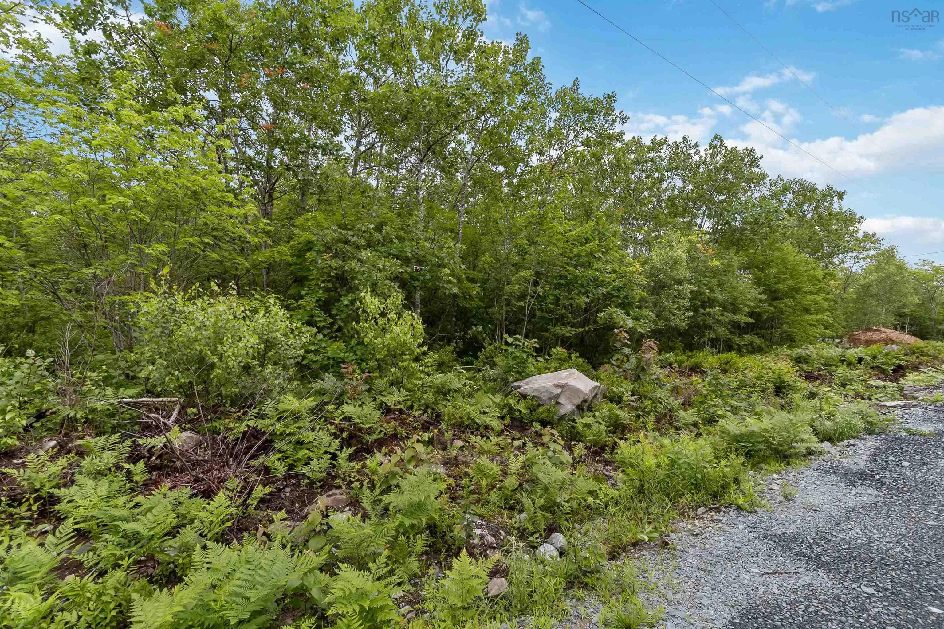 Maple Ridge Drive Lot 12, White Point, NS B0T 1K0, ,Land,For Sale,Maple Ridge,202521931