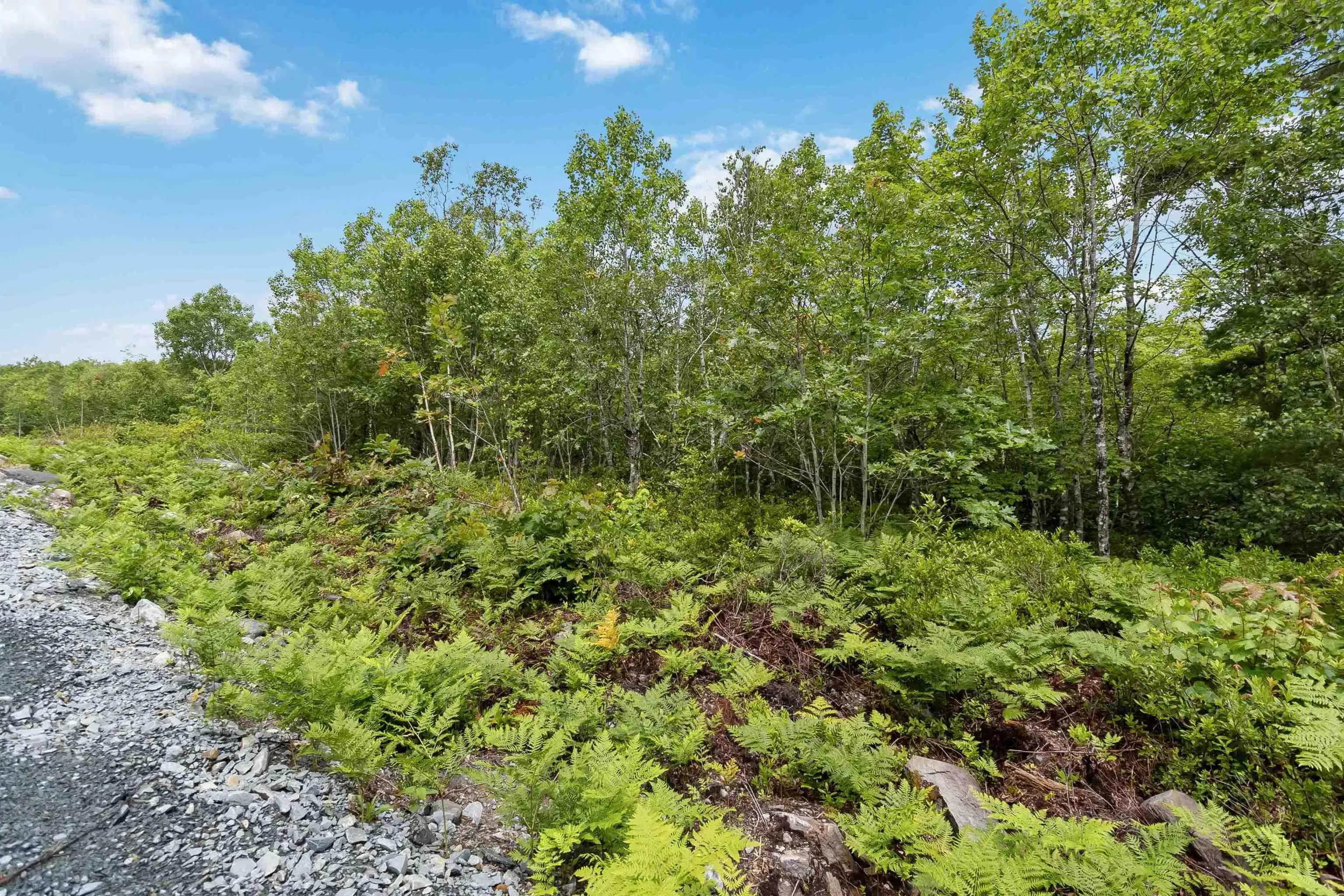 Maple Ridge Drive Lot 12, White Point, NS B0T 1K0, ,Land,For Sale,Maple Ridge,202521931