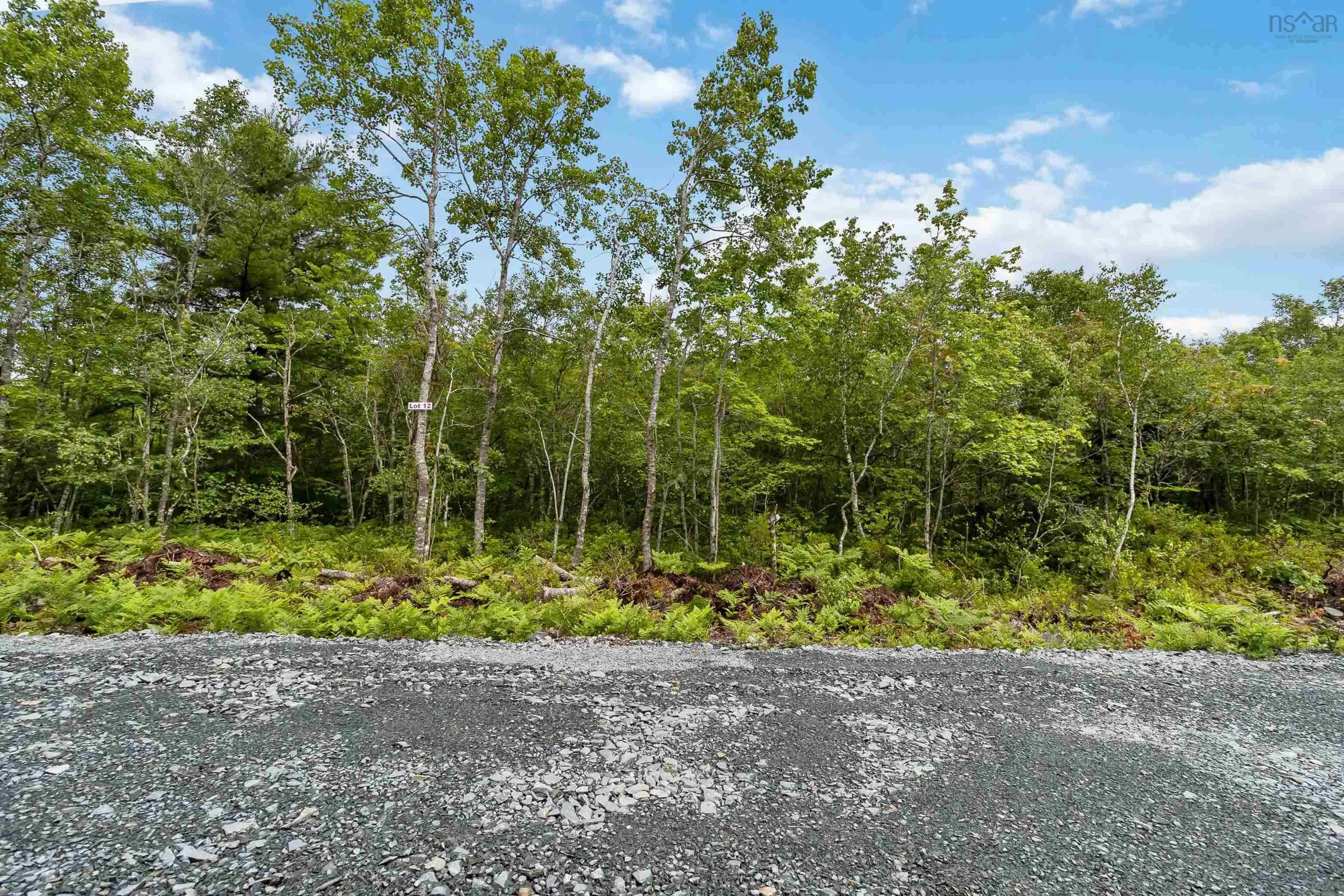Maple Ridge Drive Lot 12, White Point, NS B0T 1K0, ,Land,For Sale,Maple Ridge,202521931