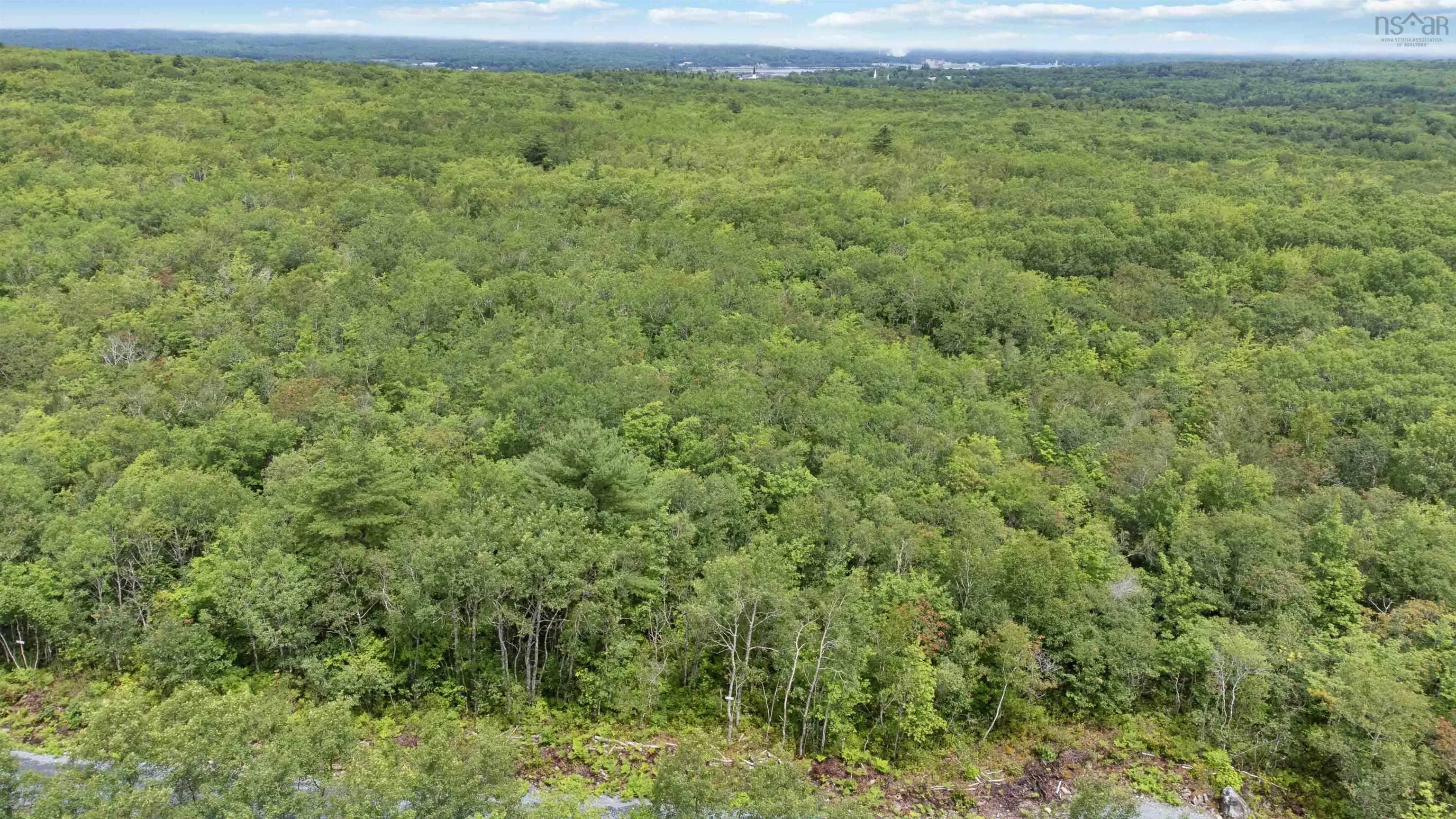 Maple Ridge Drive Lot 12, White Point, NS B0T 1K0, ,Land,For Sale,Maple Ridge,202521931