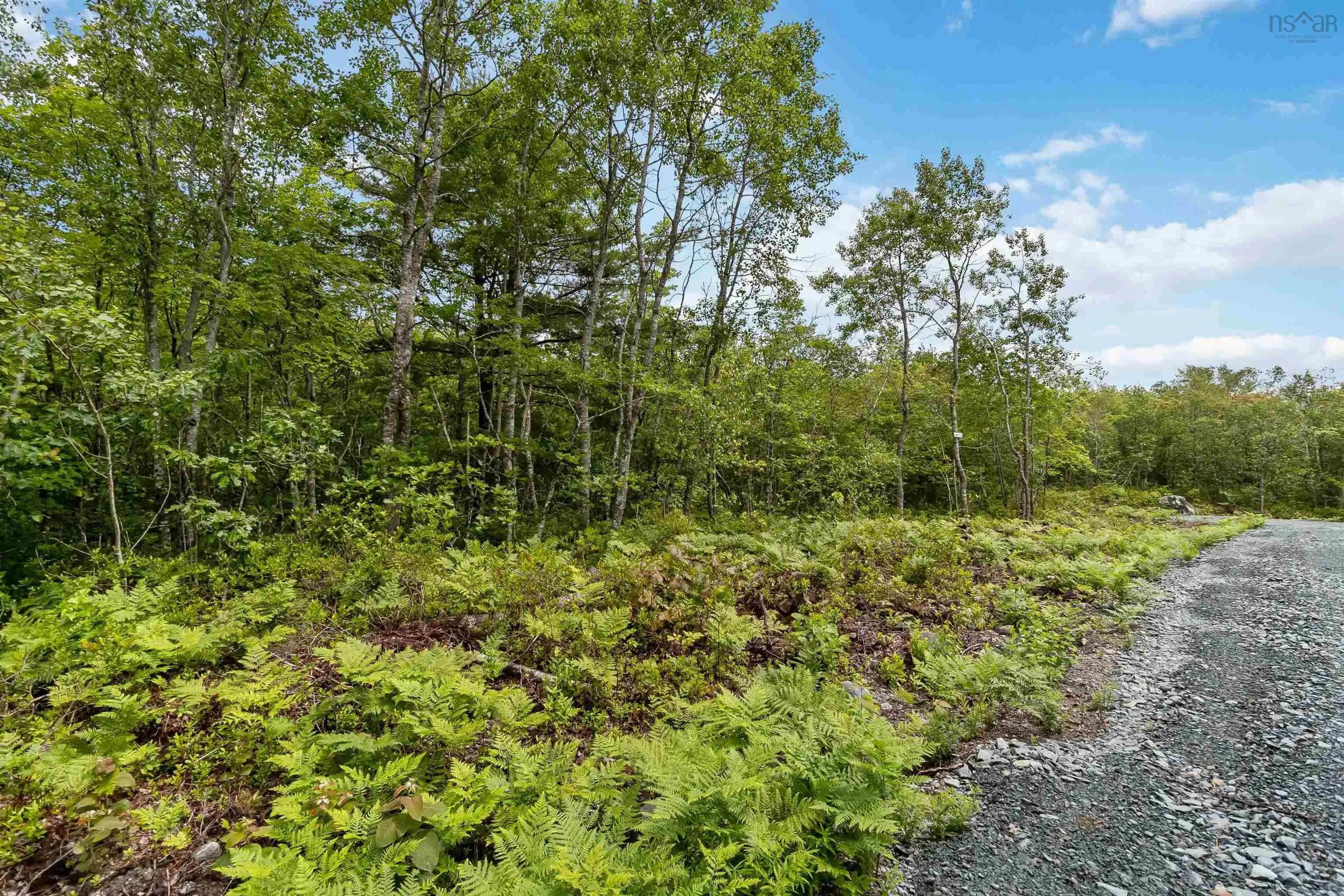 Maple Ridge Drive Lot 12, White Point, NS B0T 1K0, ,Land,For Sale,Maple Ridge,202521931