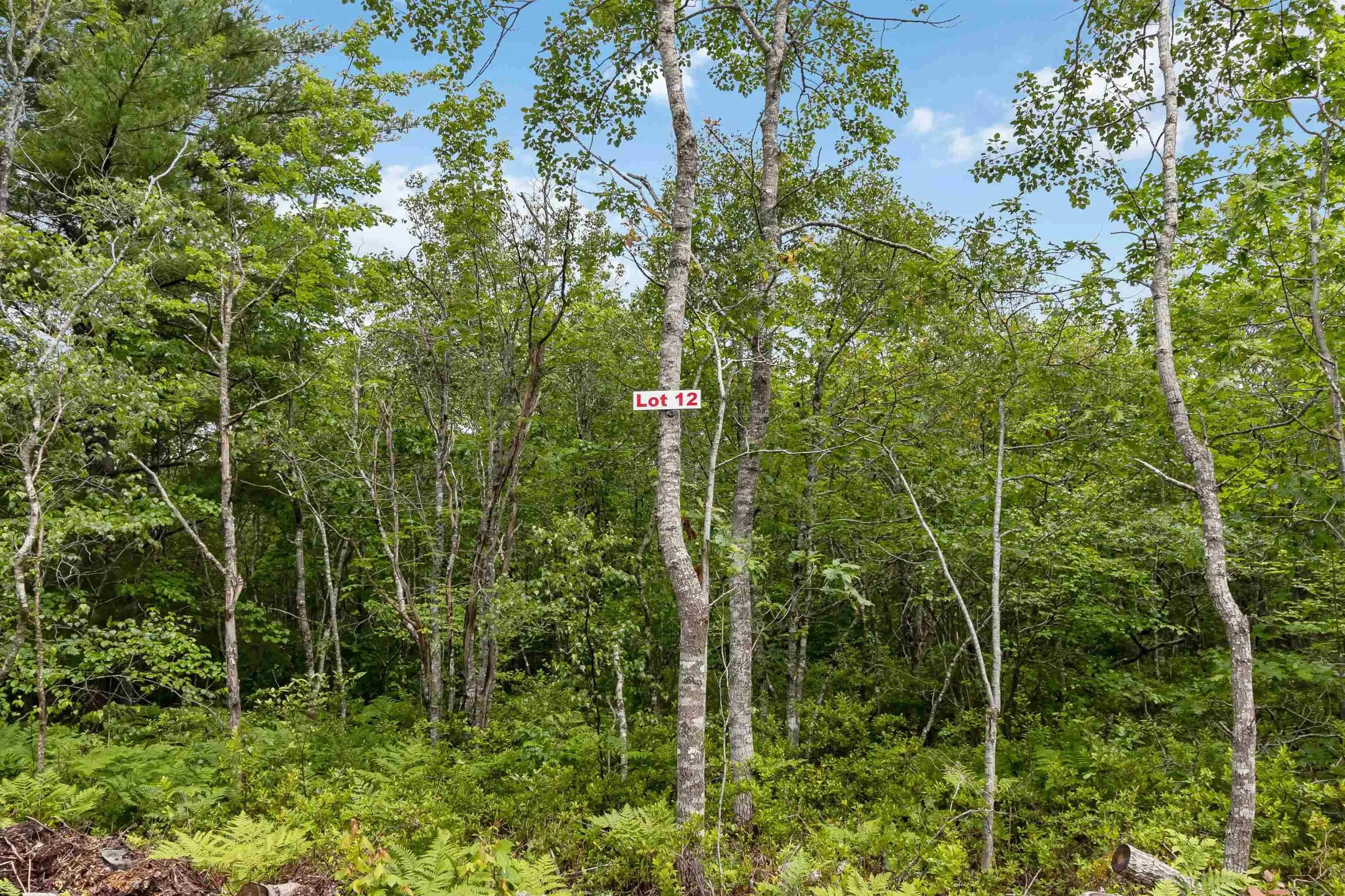 Maple Ridge Drive Lot 12, White Point, NS B0T 1K0, ,Land,For Sale,Maple Ridge,202521931