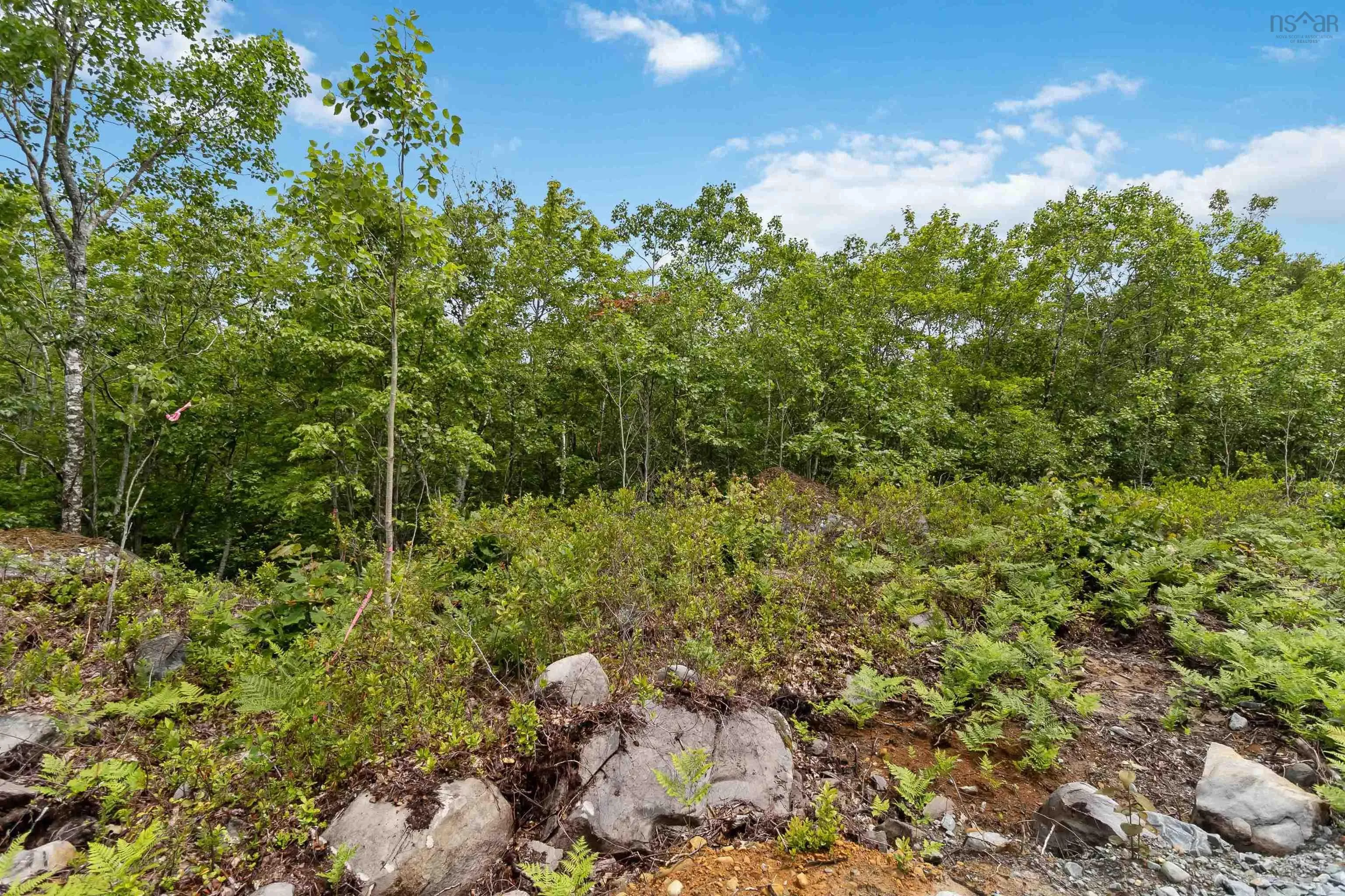 Maple Ridge Drive Lot 12, White Point, NS B0T 1K0, ,Land,For Sale,Maple Ridge,202521931