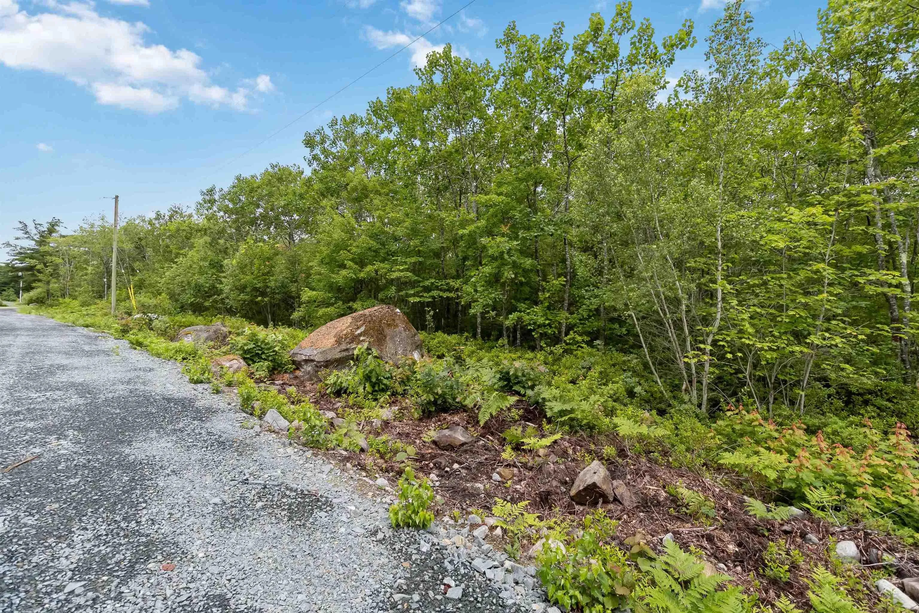 Maple Ridge Drive Lot 12, White Point, NS B0T 1K0, ,Land,For Sale,Maple Ridge,202521931