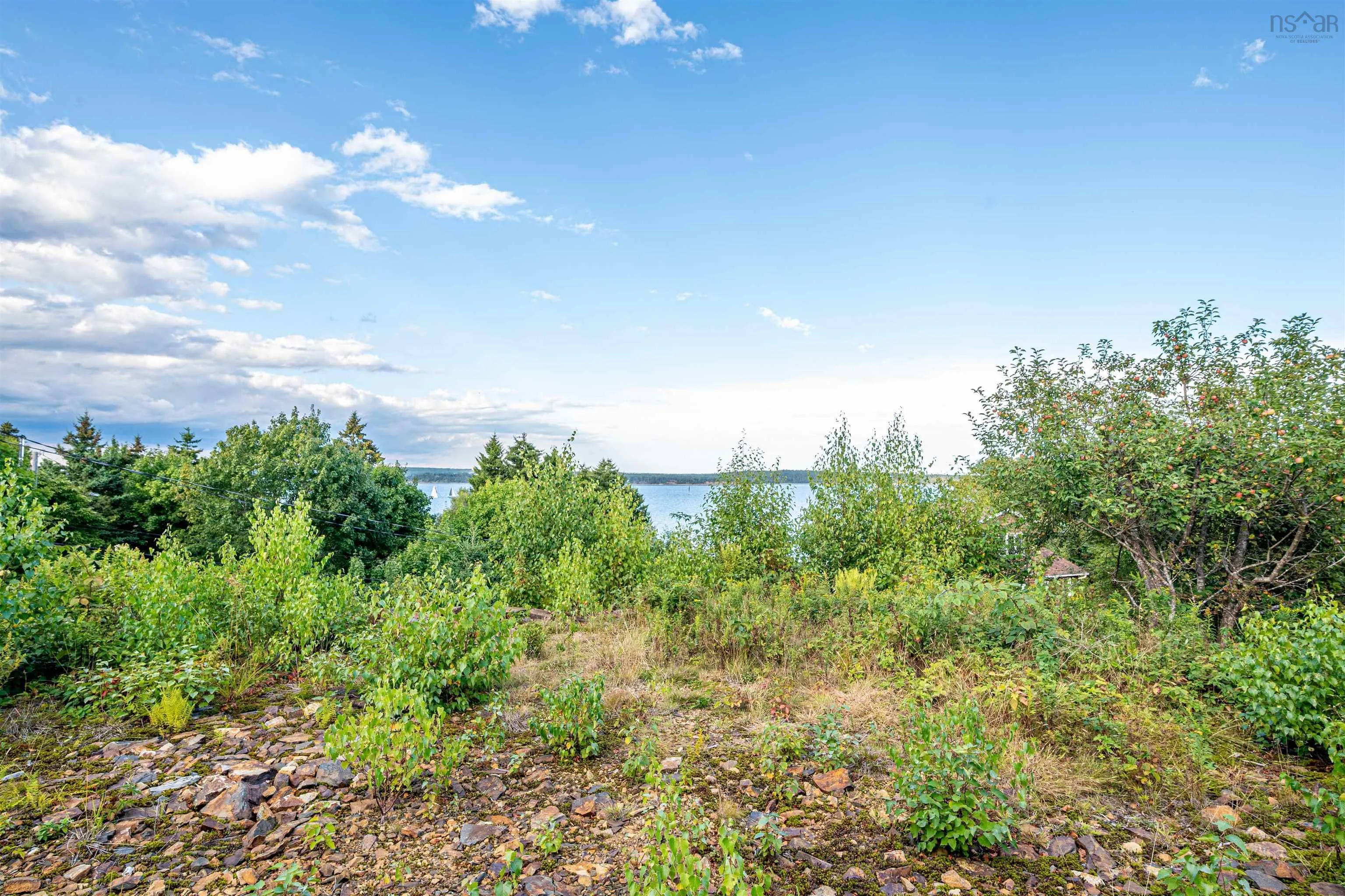 1 Faraday Lane, Fergusons Cove, NS B3V 1S3, ,Land,For Sale,Faraday,202522180
