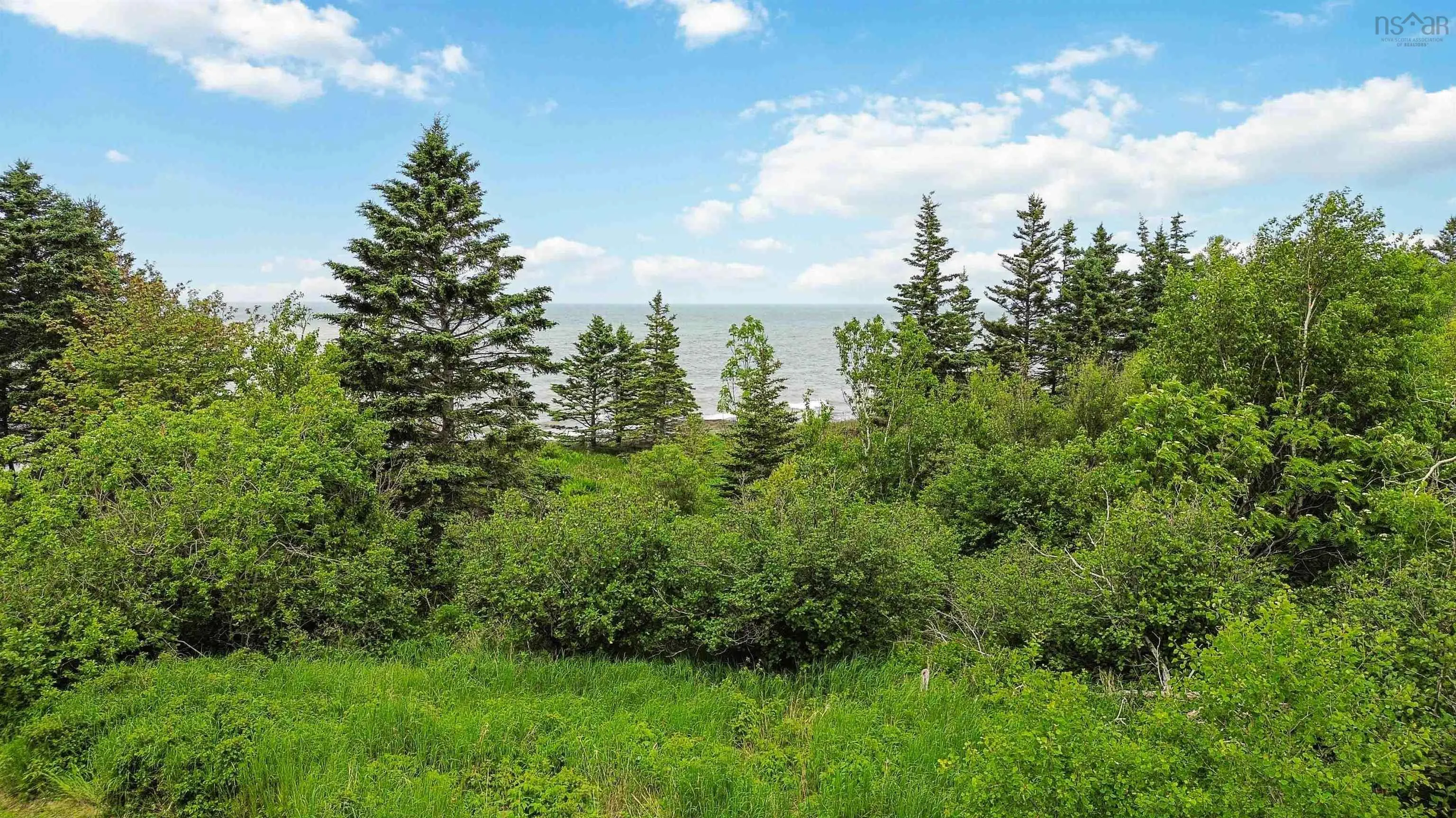 101 Shore Road, Phinneys Cove Ns B0s 1l0, ,Land,For Sale,Shore,202505793