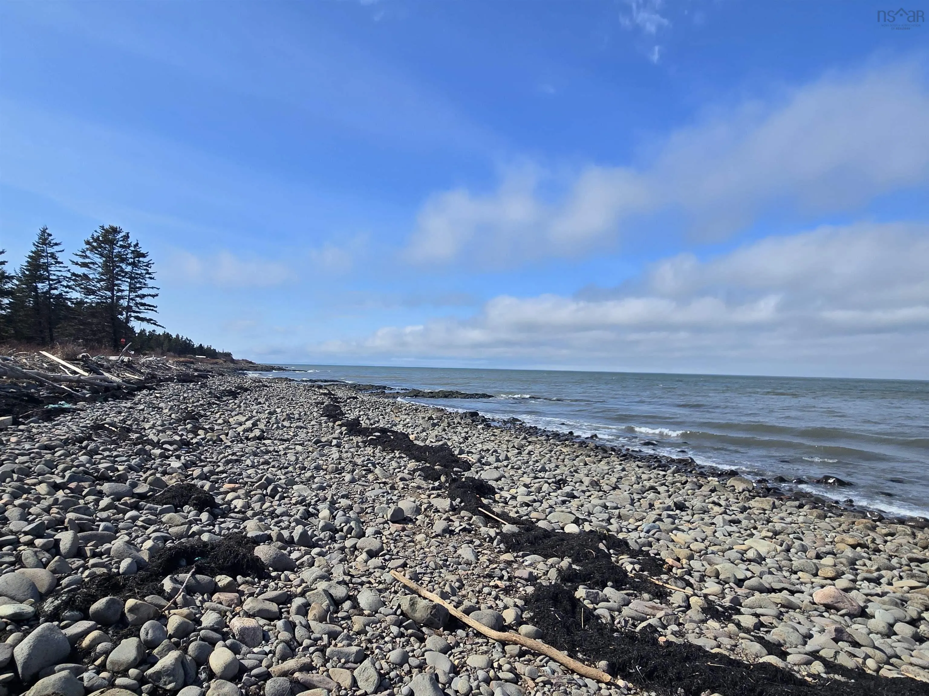 101 Shore Road, Phinneys Cove Ns B0s 1l0, ,Land,For Sale,Shore,202505793