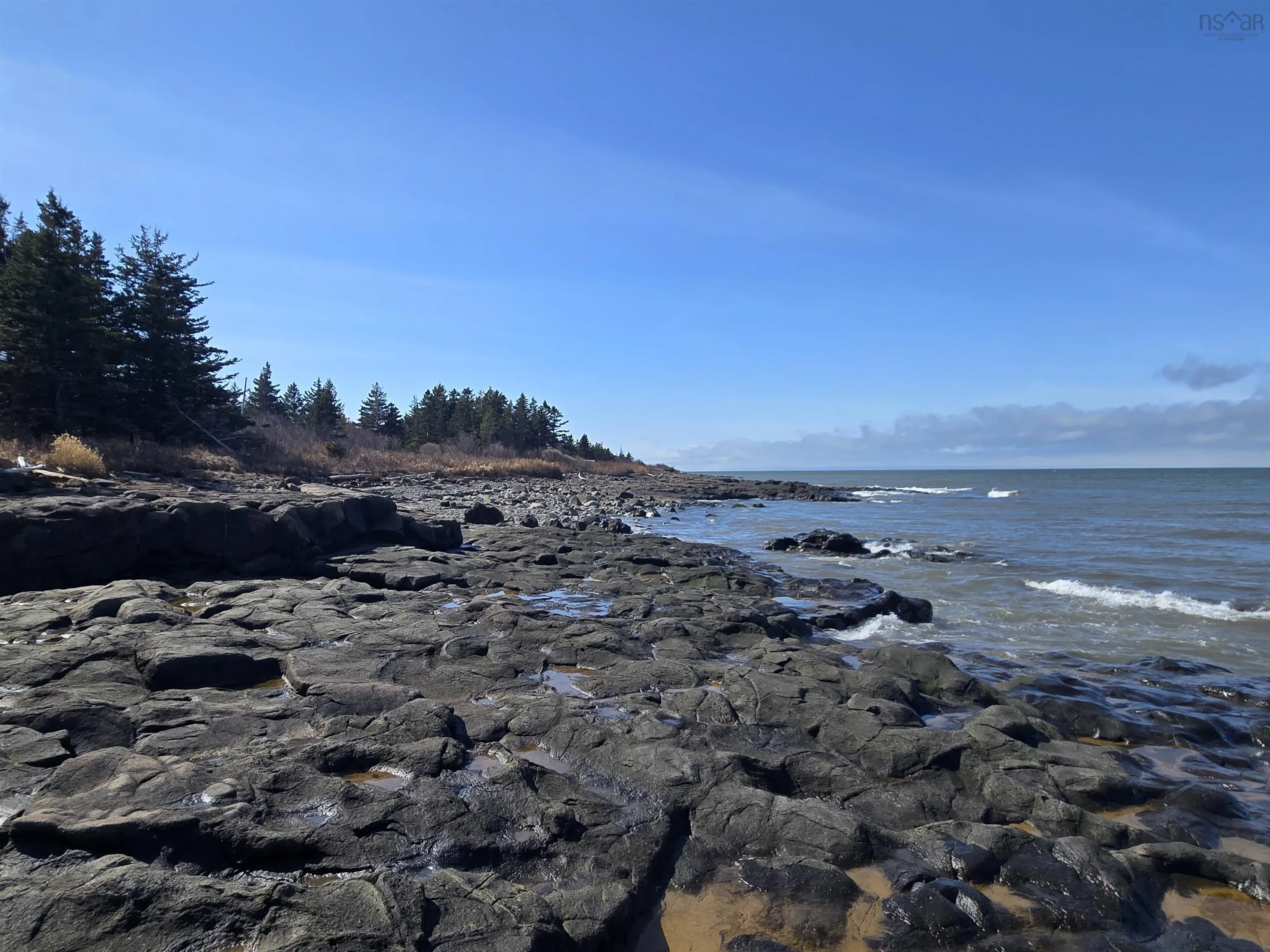 101 Shore Road, Phinneys Cove Ns B0s 1l0, ,Land,For Sale,Shore,202505793