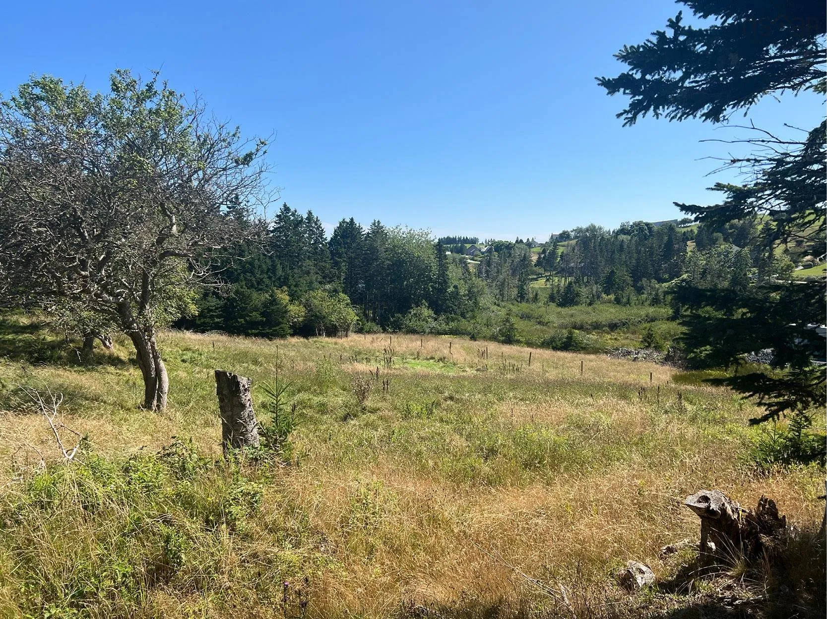 Upper Kingsburg Road, Upper Kingsburg Ns B0j 2x0, ,Land,For Sale,Upper Kingsburg,202500674
