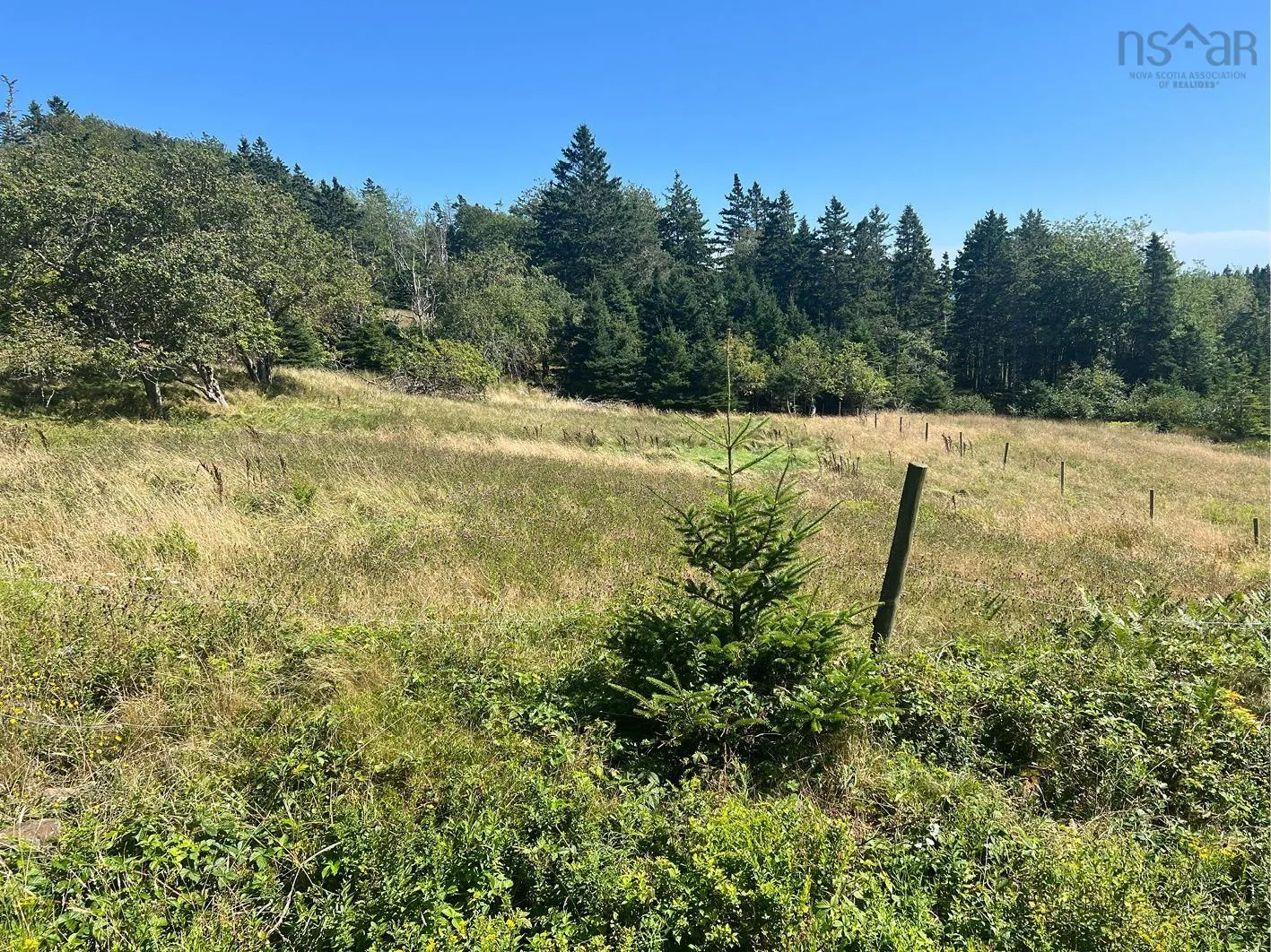 Upper Kingsburg Road, Upper Kingsburg Ns B0j 2x0, ,Land,For Sale,Upper Kingsburg,202500674