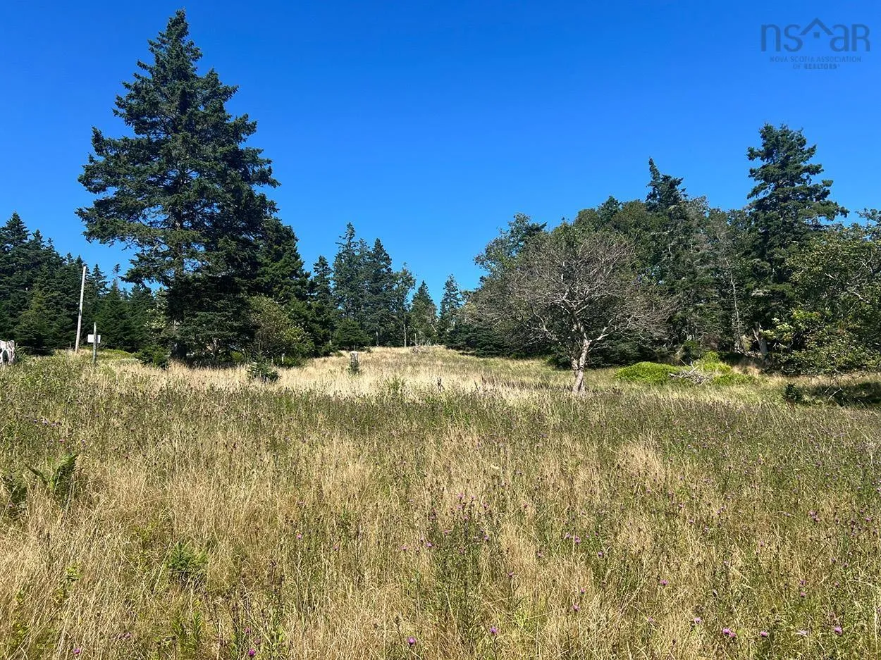 Upper Kingsburg Road, Upper Kingsburg Ns B0j 2x0, ,Land,For Sale,Upper Kingsburg,202500674