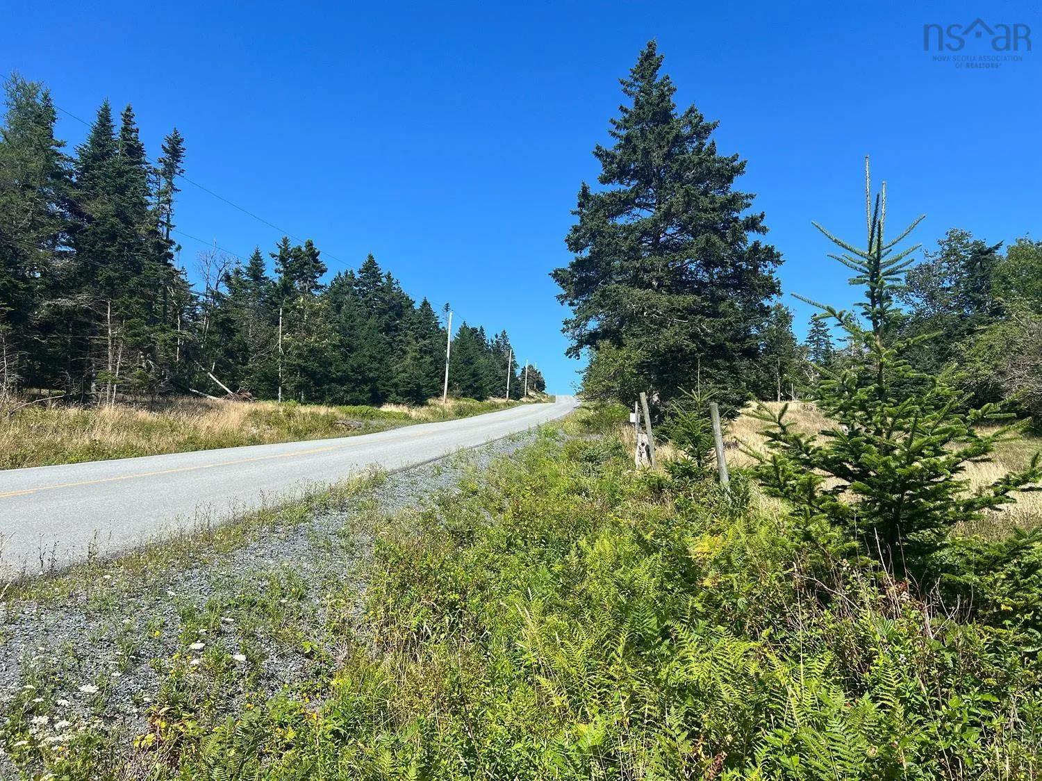 Upper Kingsburg Road, Upper Kingsburg Ns B0j 2x0, ,Land,For Sale,Upper Kingsburg,202500674