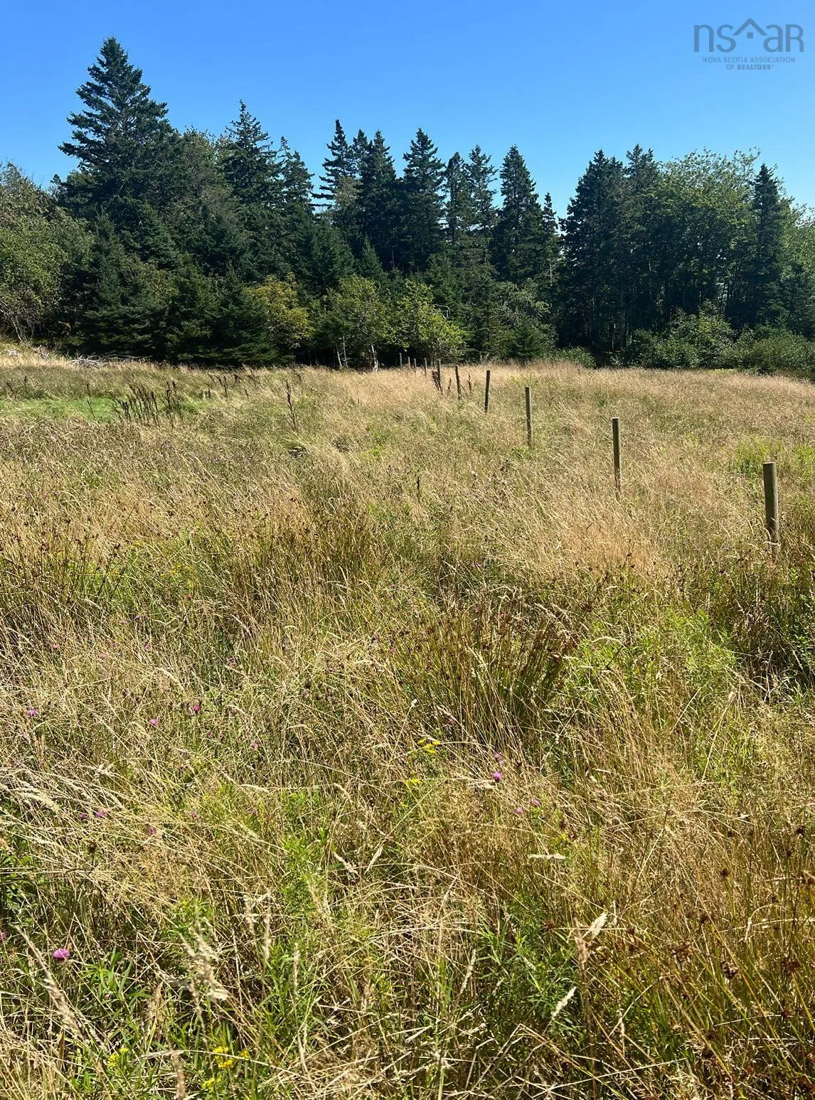 Upper Kingsburg Road, Upper Kingsburg Ns B0j 2x0, ,Land,For Sale,Upper Kingsburg,202500674