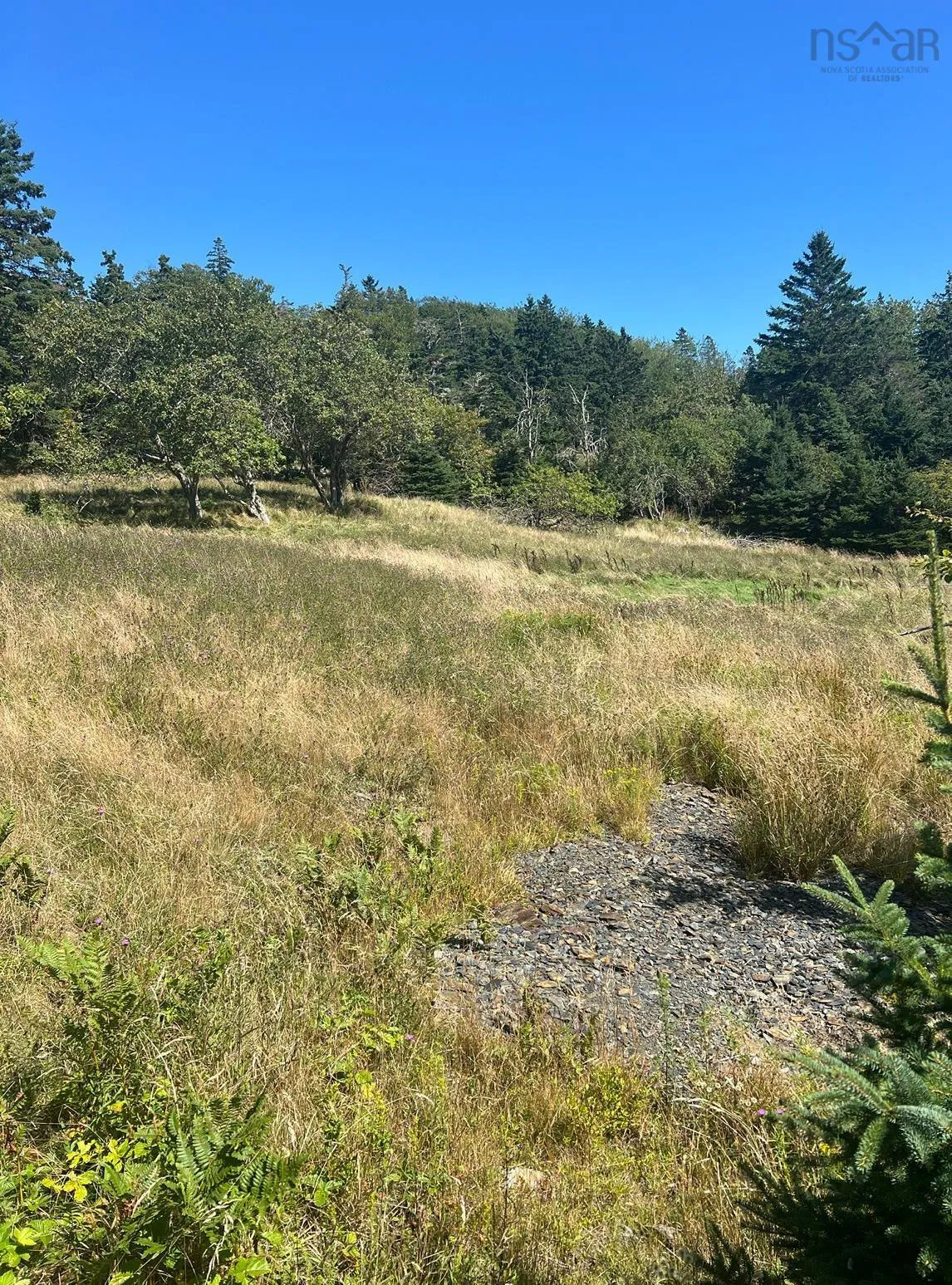Upper Kingsburg Road, Upper Kingsburg Ns B0j 2x0, ,Land,For Sale,Upper Kingsburg,202500674