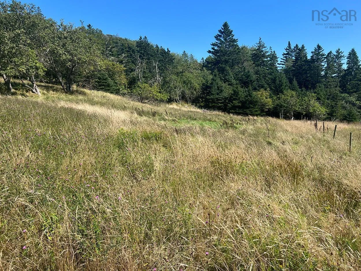 Upper Kingsburg Road, Upper Kingsburg Ns B0j 2x0, ,Land,For Sale,Upper Kingsburg,202500674