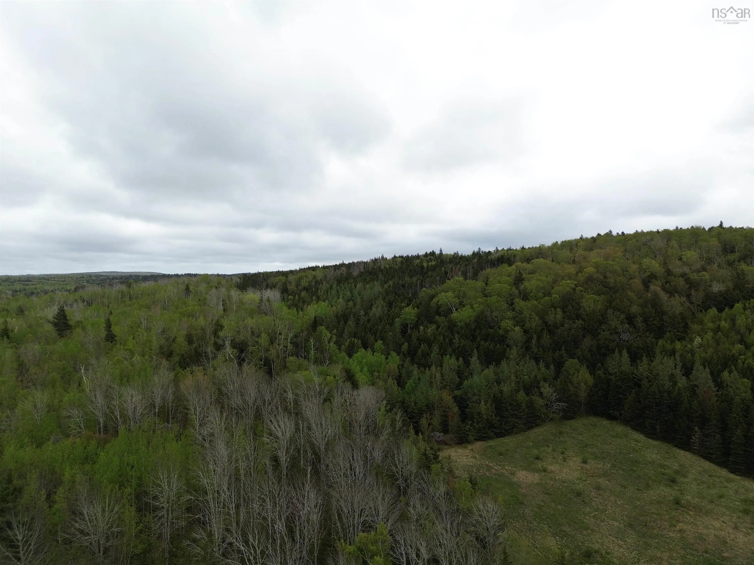 Balmoral Road, New Annan, NS B0K 1V0, ,Land,For Sale,Balmoral Road,202511918